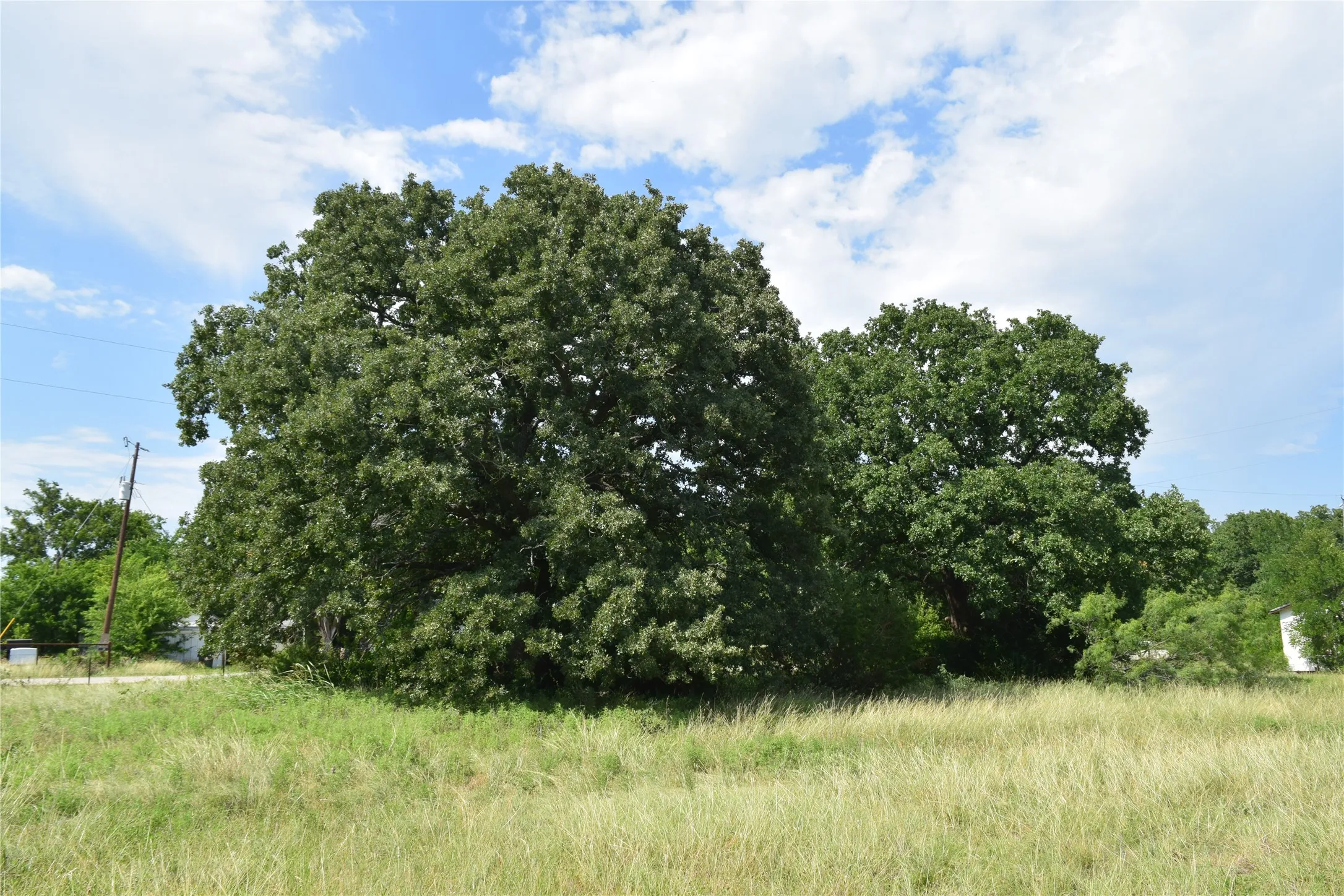 Unimproved Land For Sale in Parker County , 3321 Old Mineral Wells Highway, Weatherford, Texas 76088, 0, 0, Garage spaces, 0 Sqft, built in 0, Price $606,000, mls#21277713, Real Estate Agent in Weatherford, Homes For Sale in Parker county, Homes For Sale in Weatherford, Realtor in Weatherford Texas, Real Estate Brokerage Independent Realty Texas, Luminita Cordes Realtor