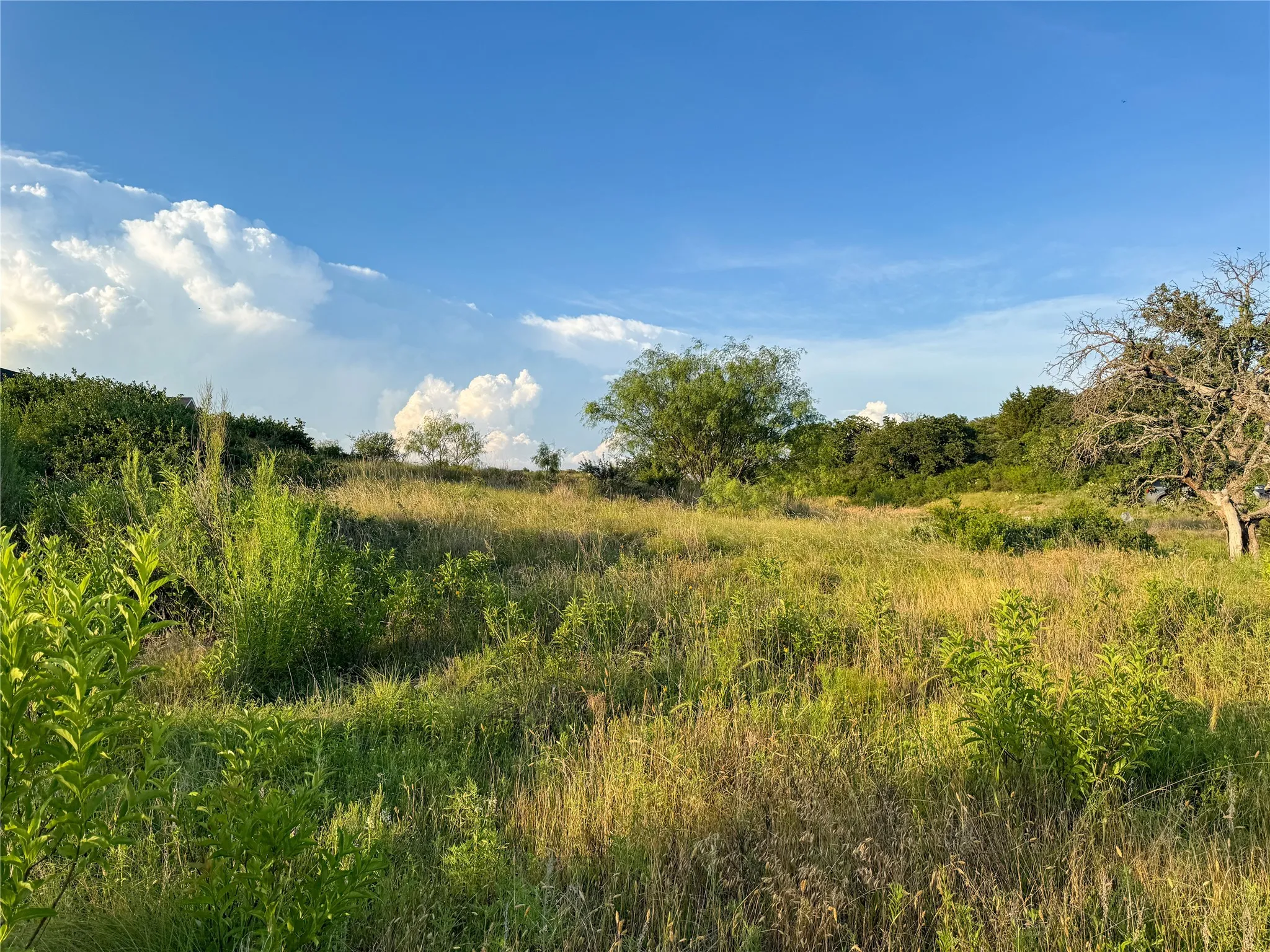 Unimproved Land For Sale in Eastland County , 293 Hidden Shores Drive, Cisco, Texas 76437, 0, 0, Garage spaces, 0 Sqft, built in 0, Price $98,500, mls#21288891, Real Estate Agent in Cisco, Homes For Sale in Eastland county, Homes For Sale in Cisco, Realtor in Cisco Texas, Real Estate Brokerage Independent Realty Texas, Luminita Cordes Realtor