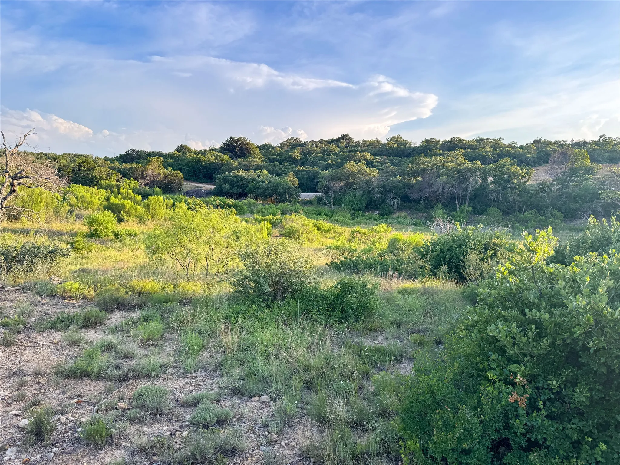 Unimproved Land For Sale in Eastland County , 293 Hidden Shores Drive, Cisco, Texas 76437, 0, 0, Garage spaces, 0 Sqft, built in 0, Price $98,500, mls#21288891, Real Estate Agent in Cisco, Homes For Sale in Eastland county, Homes For Sale in Cisco, Realtor in Cisco Texas, Real Estate Brokerage Independent Realty Texas, Luminita Cordes Realtor