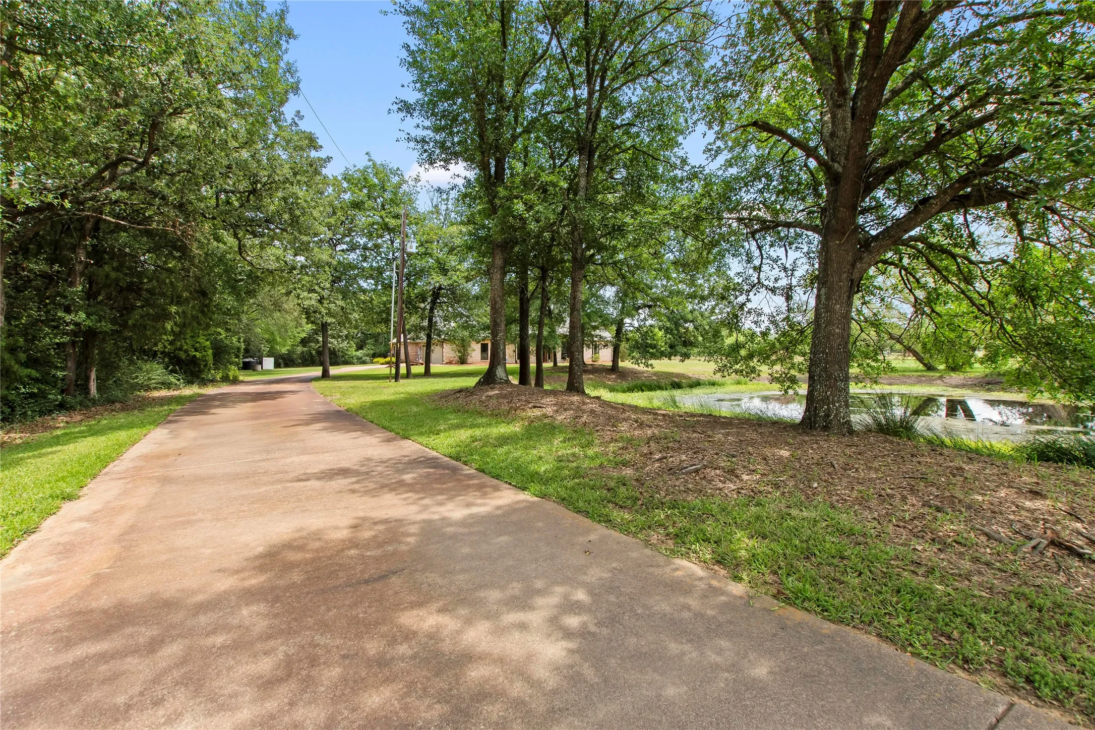 Tree-Lined Concrete Driveway Leading to the Home