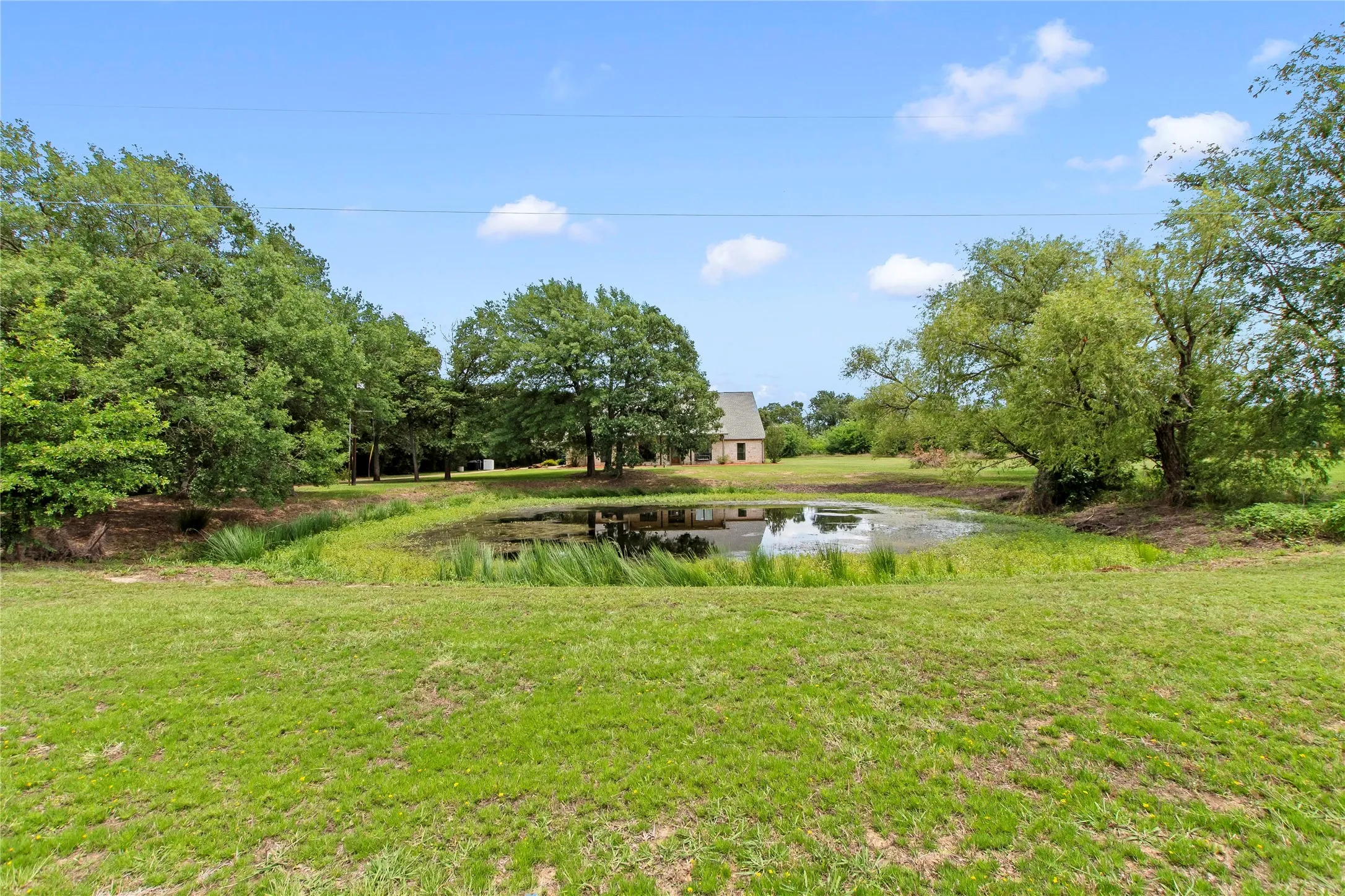 Peaceful Pond Surrounded by Scenic Countryside