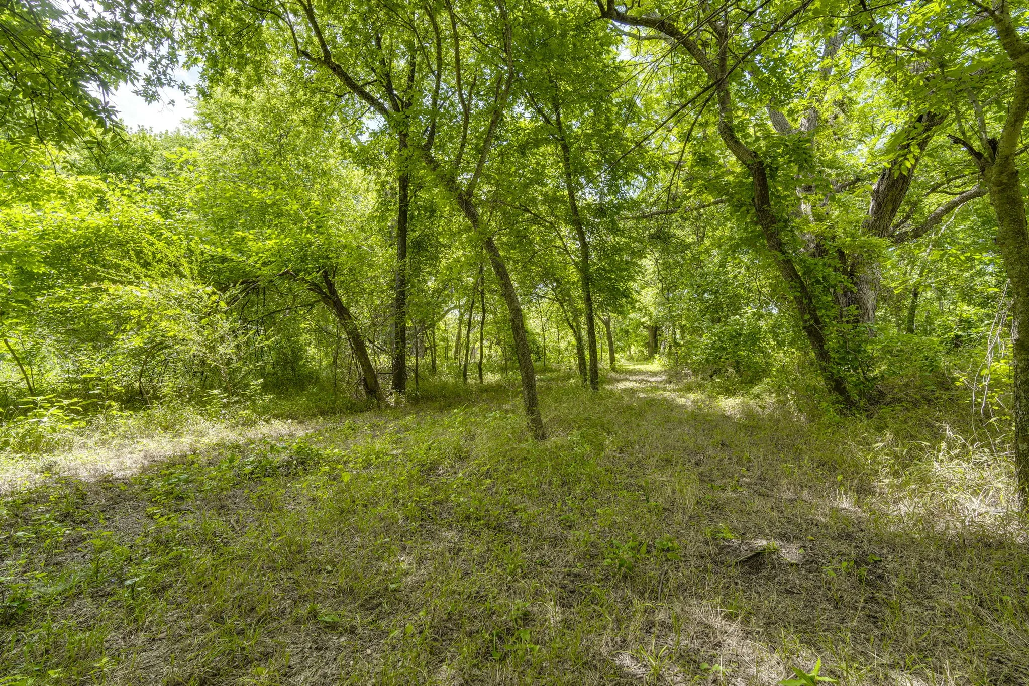 Unimproved Land For Sale in Ellis County , TBD Oak Tree, Waxahachie, Texas 75167, 0, 0, Garage spaces, 0 Sqft, built in 0, Price $200,000, mls#21288806, Real Estate Agent in Waxahachie, Homes For Sale in Ellis county, Homes For Sale in Waxahachie, Realtor in Waxahachie Texas, Real Estate Brokerage Independent Realty Texas, Luminita Cordes Realtor