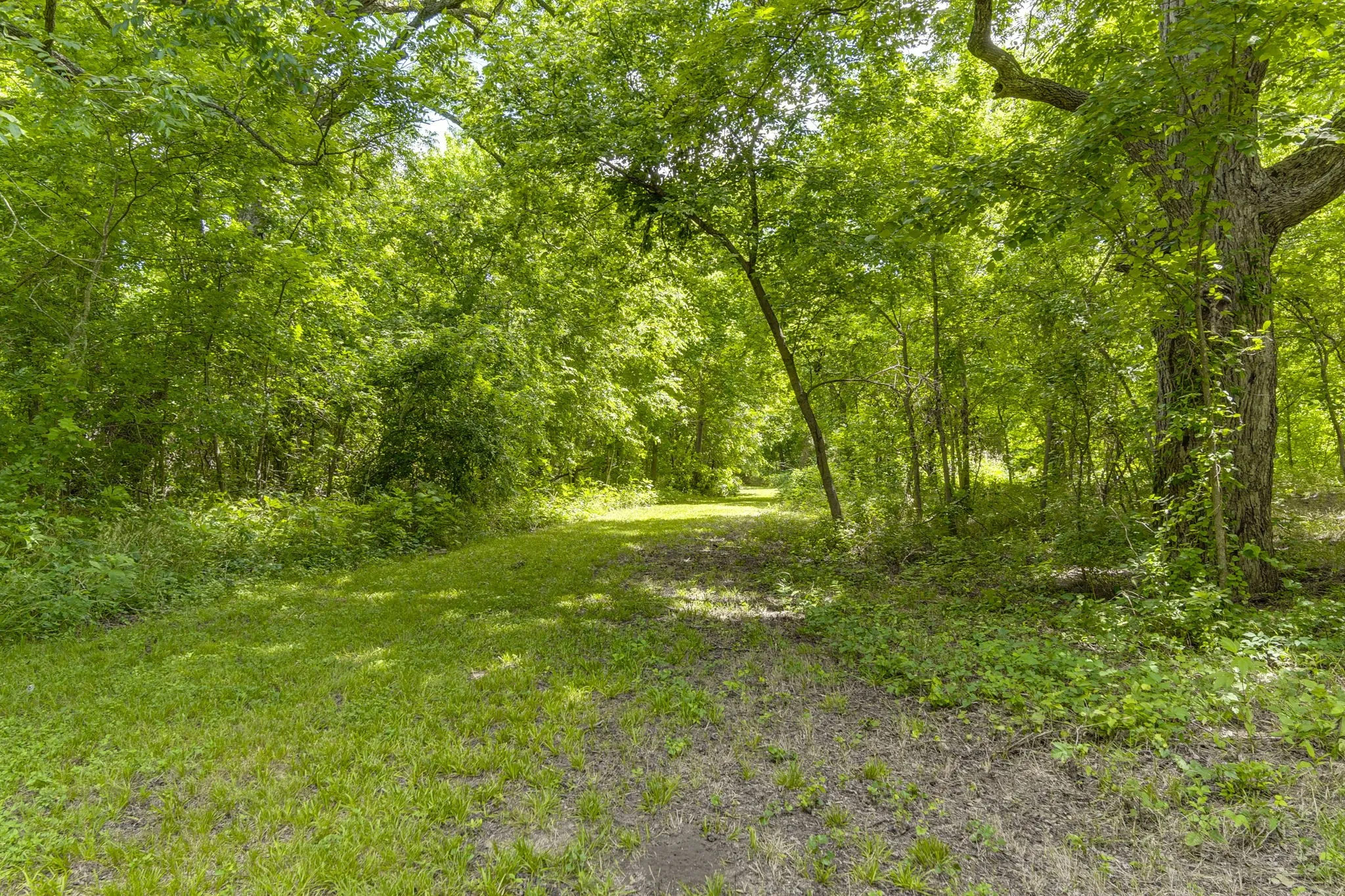 Unimproved Land For Sale in Ellis County , TBD Oak Tree, Waxahachie, Texas 75167, 0, 0, Garage spaces, 0 Sqft, built in 0, Price $200,000, mls#21288806, Real Estate Agent in Waxahachie, Homes For Sale in Ellis county, Homes For Sale in Waxahachie, Realtor in Waxahachie Texas, Real Estate Brokerage Independent Realty Texas, Luminita Cordes Realtor
