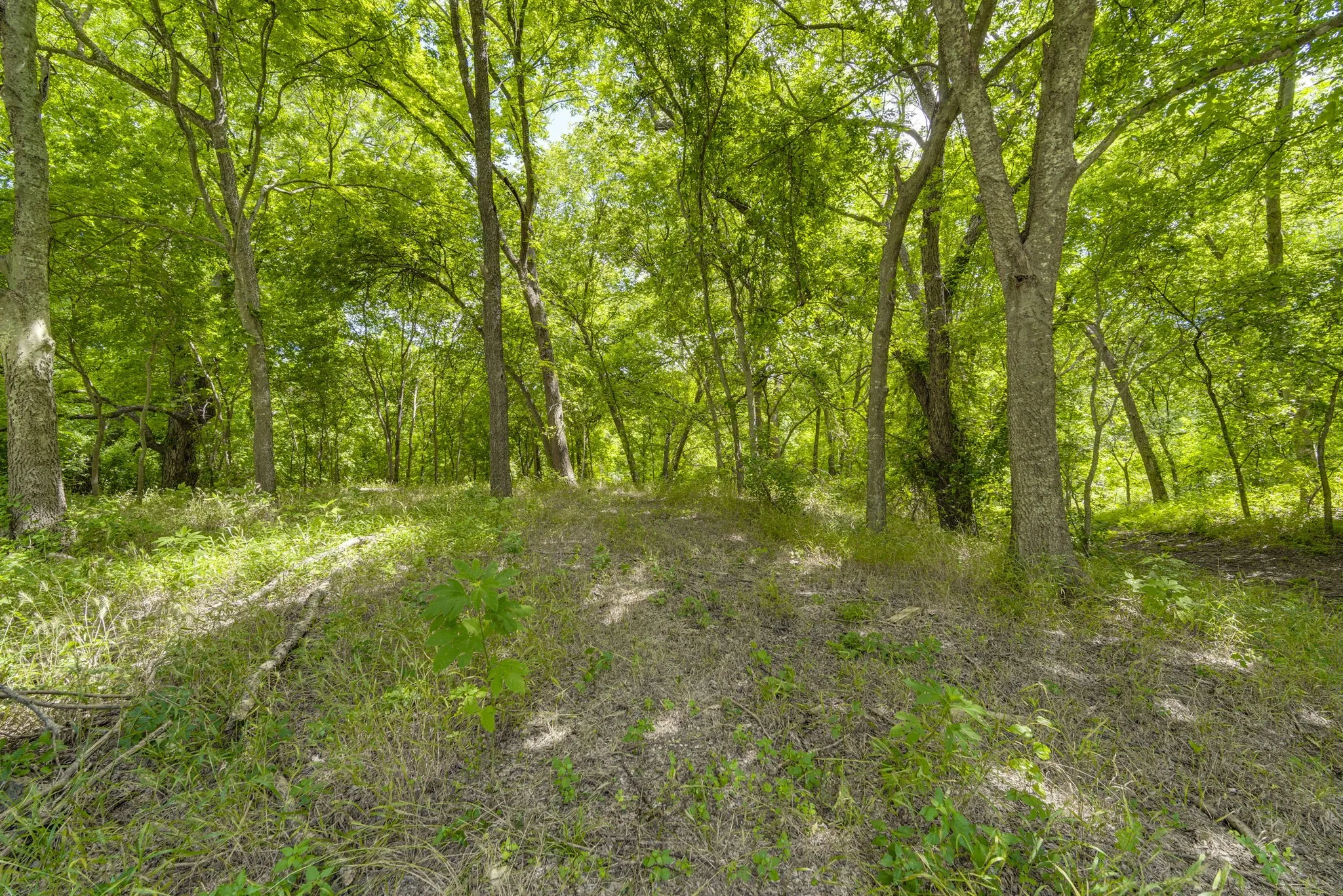 Unimproved Land For Sale in Ellis County , TBD Oak Tree, Waxahachie, Texas 75167, 0, 0, Garage spaces, 0 Sqft, built in 0, Price $200,000, mls#21288806, Real Estate Agent in Waxahachie, Homes For Sale in Ellis county, Homes For Sale in Waxahachie, Realtor in Waxahachie Texas, Real Estate Brokerage Independent Realty Texas, Luminita Cordes Realtor