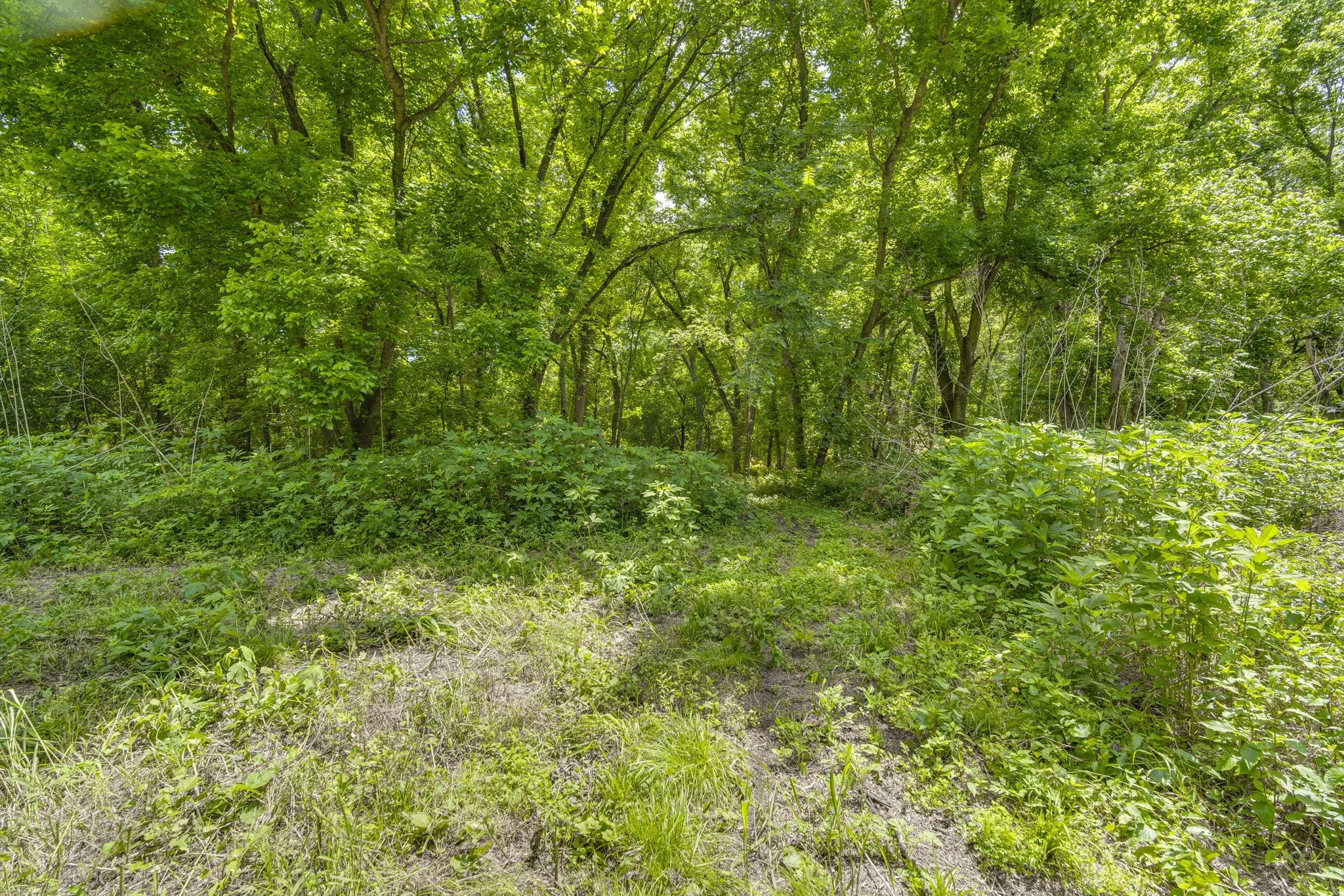 Unimproved Land For Sale in Ellis County , TBD Oak Tree, Waxahachie, Texas 75167, 0, 0, Garage spaces, 0 Sqft, built in 0, Price $200,000, mls#21288806, Real Estate Agent in Waxahachie, Homes For Sale in Ellis county, Homes For Sale in Waxahachie, Realtor in Waxahachie Texas, Real Estate Brokerage Independent Realty Texas, Luminita Cordes Realtor