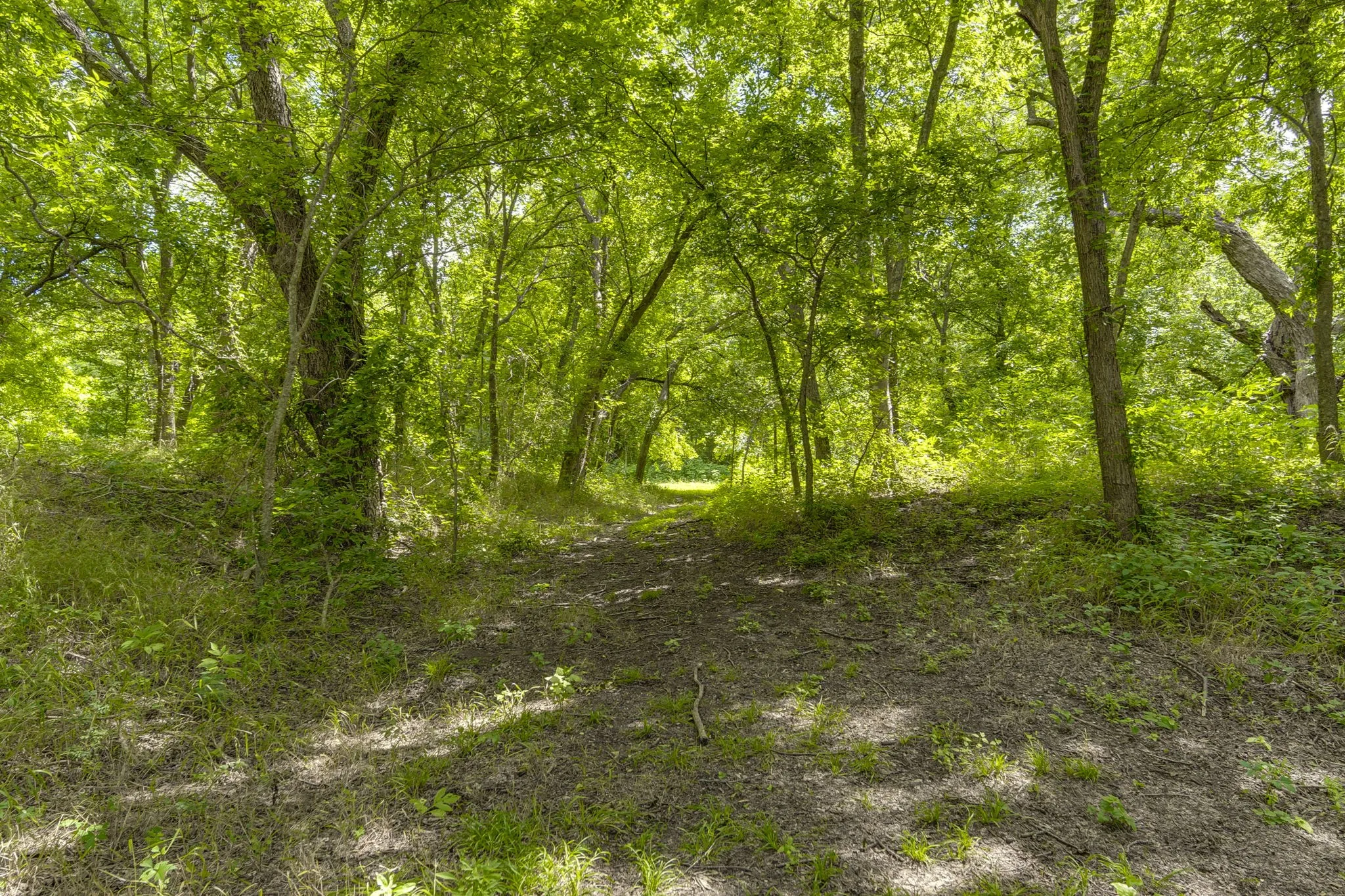 Unimproved Land For Sale in Ellis County , TBD Oak Tree, Waxahachie, Texas 75167, 0, 0, Garage spaces, 0 Sqft, built in 0, Price $200,000, mls#21288806, Real Estate Agent in Waxahachie, Homes For Sale in Ellis county, Homes For Sale in Waxahachie, Realtor in Waxahachie Texas, Real Estate Brokerage Independent Realty Texas, Luminita Cordes Realtor