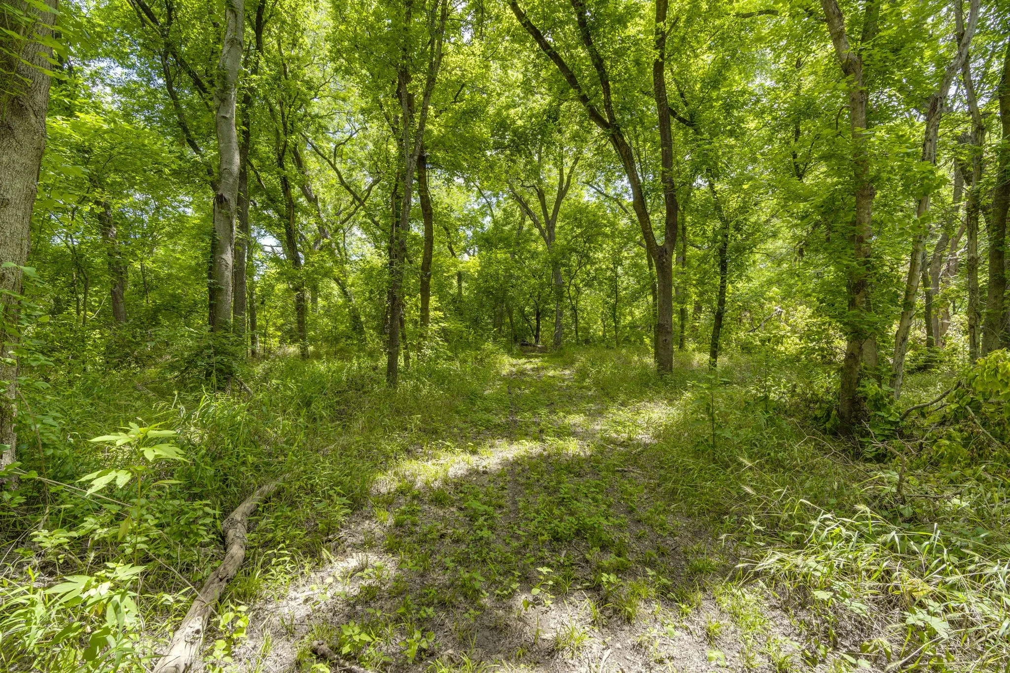 Unimproved Land For Sale in Ellis County , TBD Oak Tree, Waxahachie, Texas 75167, 0, 0, Garage spaces, 0 Sqft, built in 0, Price $200,000, mls#21288806, Real Estate Agent in Waxahachie, Homes For Sale in Ellis county, Homes For Sale in Waxahachie, Realtor in Waxahachie Texas, Real Estate Brokerage Independent Realty Texas, Luminita Cordes Realtor