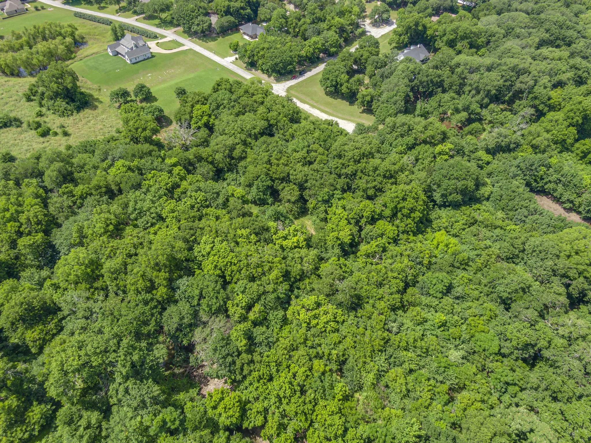Unimproved Land For Sale in Ellis County , TBD Oak Tree, Waxahachie, Texas 75167, 0, 0, Garage spaces, 0 Sqft, built in 0, Price $200,000, mls#21288806, Real Estate Agent in Waxahachie, Homes For Sale in Ellis county, Homes For Sale in Waxahachie, Realtor in Waxahachie Texas, Real Estate Brokerage Independent Realty Texas, Luminita Cordes Realtor