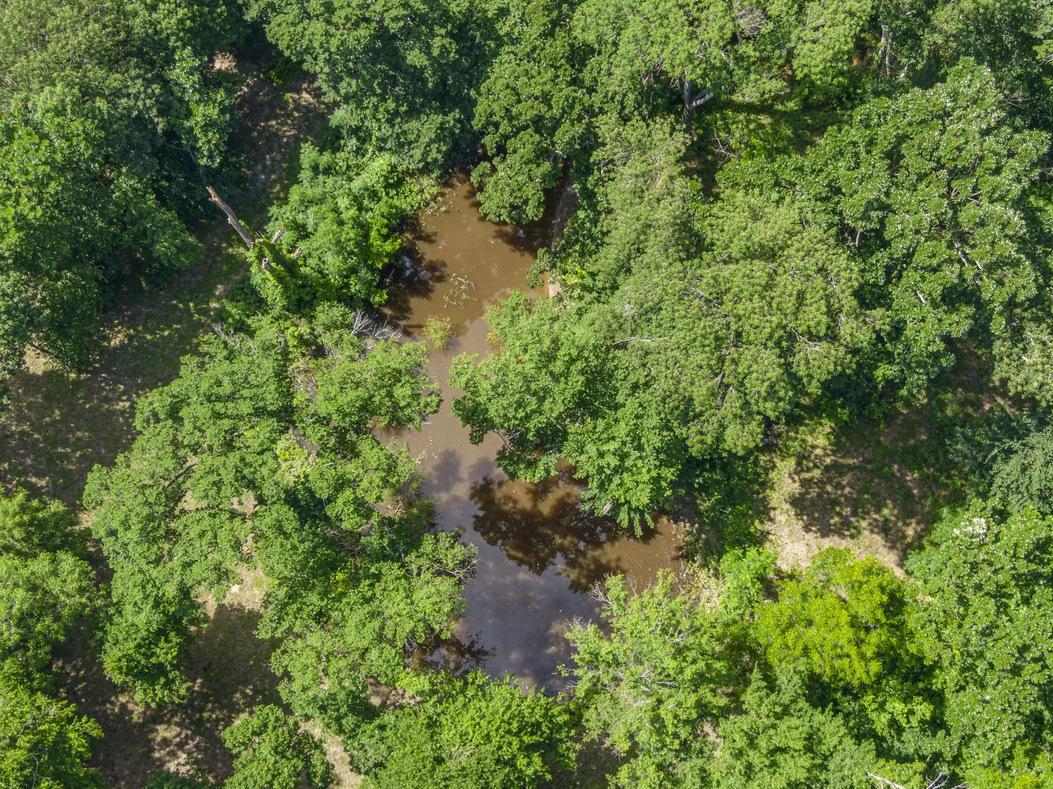 Unimproved Land For Sale in Ellis County , TBD Oak Tree, Waxahachie, Texas 75167, 0, 0, Garage spaces, 0 Sqft, built in 0, Price $200,000, mls#21288806, Real Estate Agent in Waxahachie, Homes For Sale in Ellis county, Homes For Sale in Waxahachie, Realtor in Waxahachie Texas, Real Estate Brokerage Independent Realty Texas, Luminita Cordes Realtor