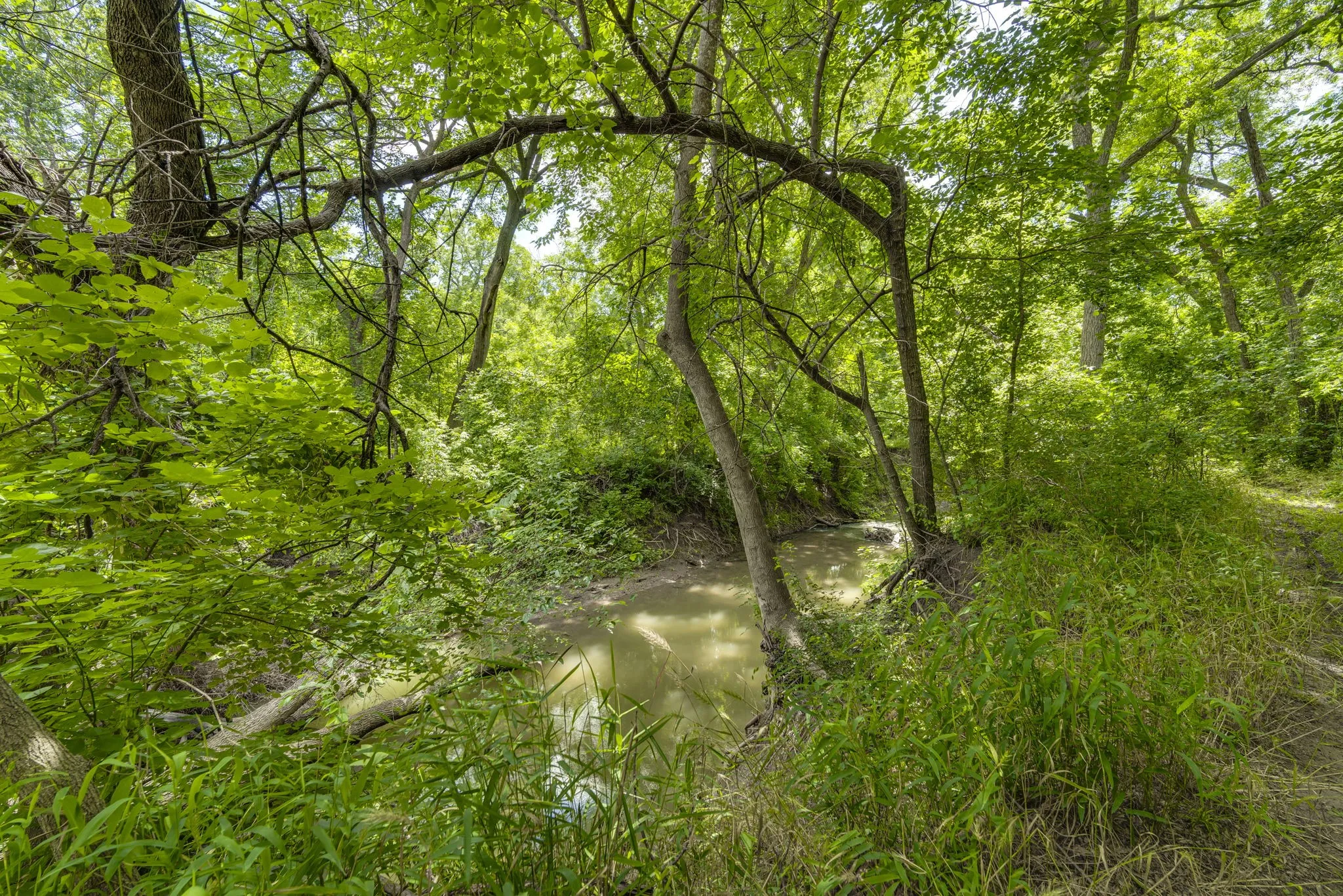 Unimproved Land For Sale in Ellis County , TBD Oak Tree, Waxahachie, Texas 75167, 0, 0, Garage spaces, 0 Sqft, built in 0, Price $200,000, mls#21288806, Real Estate Agent in Waxahachie, Homes For Sale in Ellis county, Homes For Sale in Waxahachie, Realtor in Waxahachie Texas, Real Estate Brokerage Independent Realty Texas, Luminita Cordes Realtor