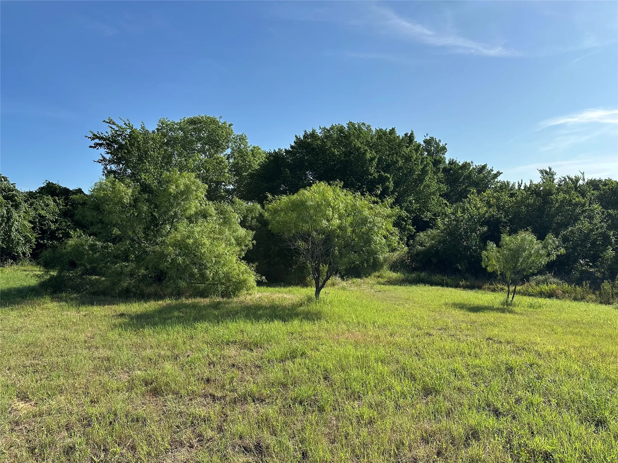 Unimproved Land For Sale in Parker County , 000 Dill, Weatherford, Texas 76085, 0, 0, Garage spaces, 0 Sqft, built in 0, Price $129,900, mls#21289522, Real Estate Agent in Weatherford, Homes For Sale in Parker county, Homes For Sale in Weatherford, Realtor in Weatherford Texas, Real Estate Brokerage Independent Realty Texas, Luminita Cordes Realtor