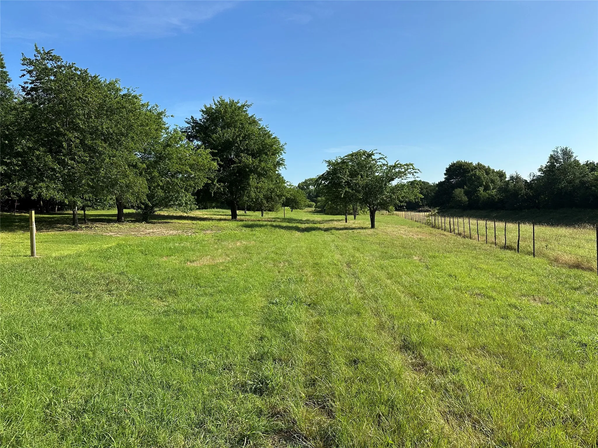 Unimproved Land For Sale in Parker County , 000 Dill, Weatherford, Texas 76085, 0, 0, Garage spaces, 0 Sqft, built in 0, Price $129,900, mls#21289522, Real Estate Agent in Weatherford, Homes For Sale in Parker county, Homes For Sale in Weatherford, Realtor in Weatherford Texas, Real Estate Brokerage Independent Realty Texas, Luminita Cordes Realtor