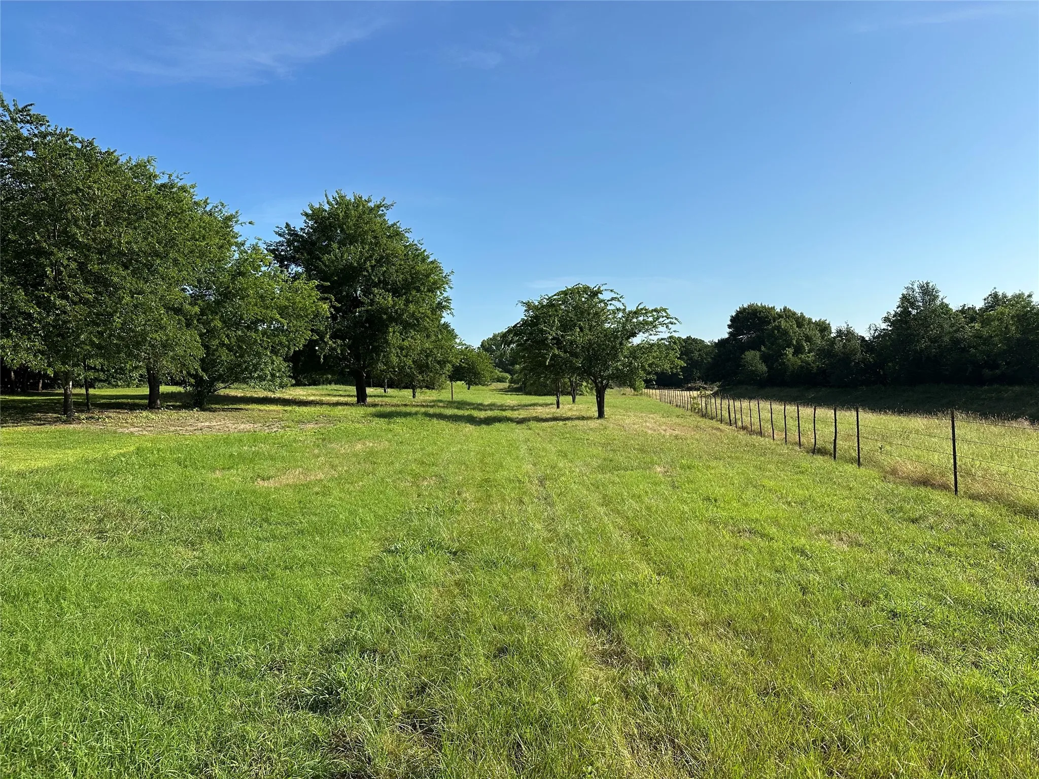 Unimproved Land For Sale in Parker County , 000 Dill, Weatherford, Texas 76085, 0, 0, Garage spaces, 0 Sqft, built in 0, Price $129,900, mls#21289522, Real Estate Agent in Weatherford, Homes For Sale in Parker county, Homes For Sale in Weatherford, Realtor in Weatherford Texas, Real Estate Brokerage Independent Realty Texas, Luminita Cordes Realtor