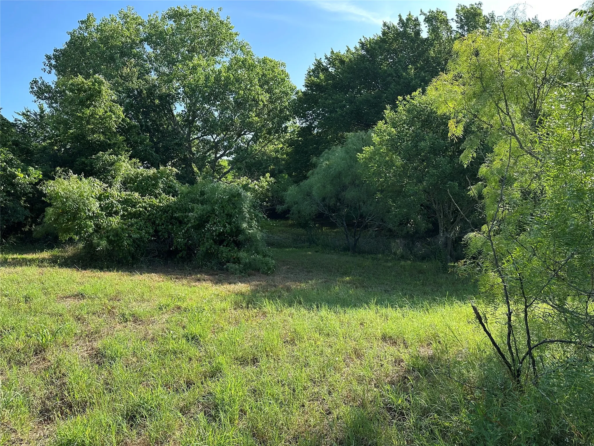Unimproved Land For Sale in Parker County , 000 Dill, Weatherford, Texas 76085, 0, 0, Garage spaces, 0 Sqft, built in 0, Price $129,900, mls#21289522, Real Estate Agent in Weatherford, Homes For Sale in Parker county, Homes For Sale in Weatherford, Realtor in Weatherford Texas, Real Estate Brokerage Independent Realty Texas, Luminita Cordes Realtor