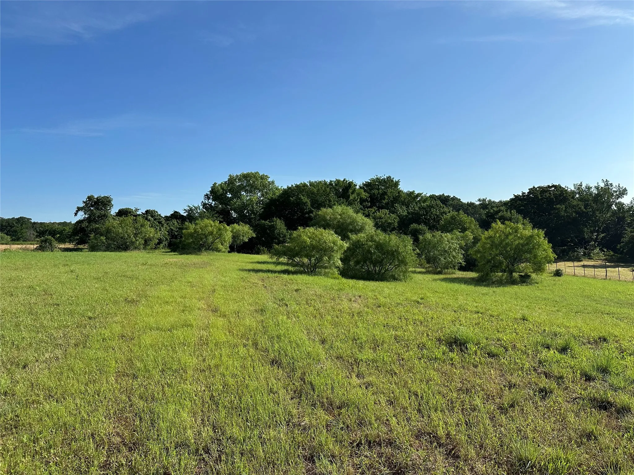 Unimproved Land For Sale in Parker County , 000 Dill, Weatherford, Texas 76085, 0, 0, Garage spaces, 0 Sqft, built in 0, Price $129,900, mls#21289522, Real Estate Agent in Weatherford, Homes For Sale in Parker county, Homes For Sale in Weatherford, Realtor in Weatherford Texas, Real Estate Brokerage Independent Realty Texas, Luminita Cordes Realtor