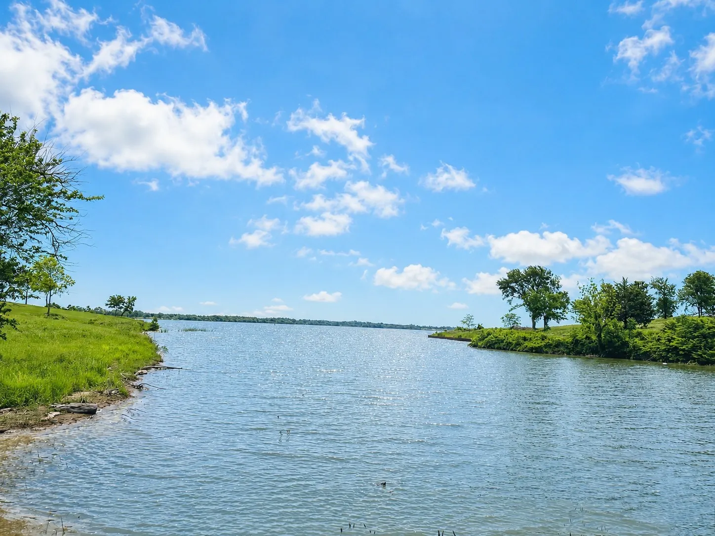 Unimproved Land For Sale in Navarro County , Lot 53 Richland Court, Corsicana, Texas 75109, 0, 0, Garage spaces, 0 Sqft, built in 0, Price $225,000, mls#21285018, Real Estate Agent in Corsicana, Homes For Sale in Navarro county, Homes For Sale in Corsicana, Realtor in Corsicana Texas, Real Estate Brokerage Independent Realty Texas, Luminita Cordes Realtor