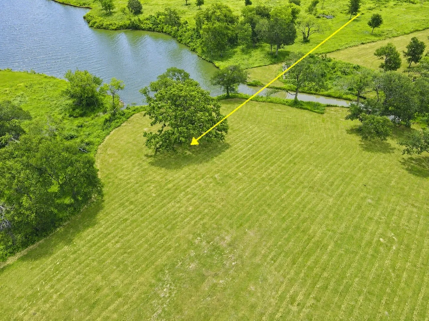 Yellow arrow shows the lakefront homesite location with Richland Chambers Lake views.