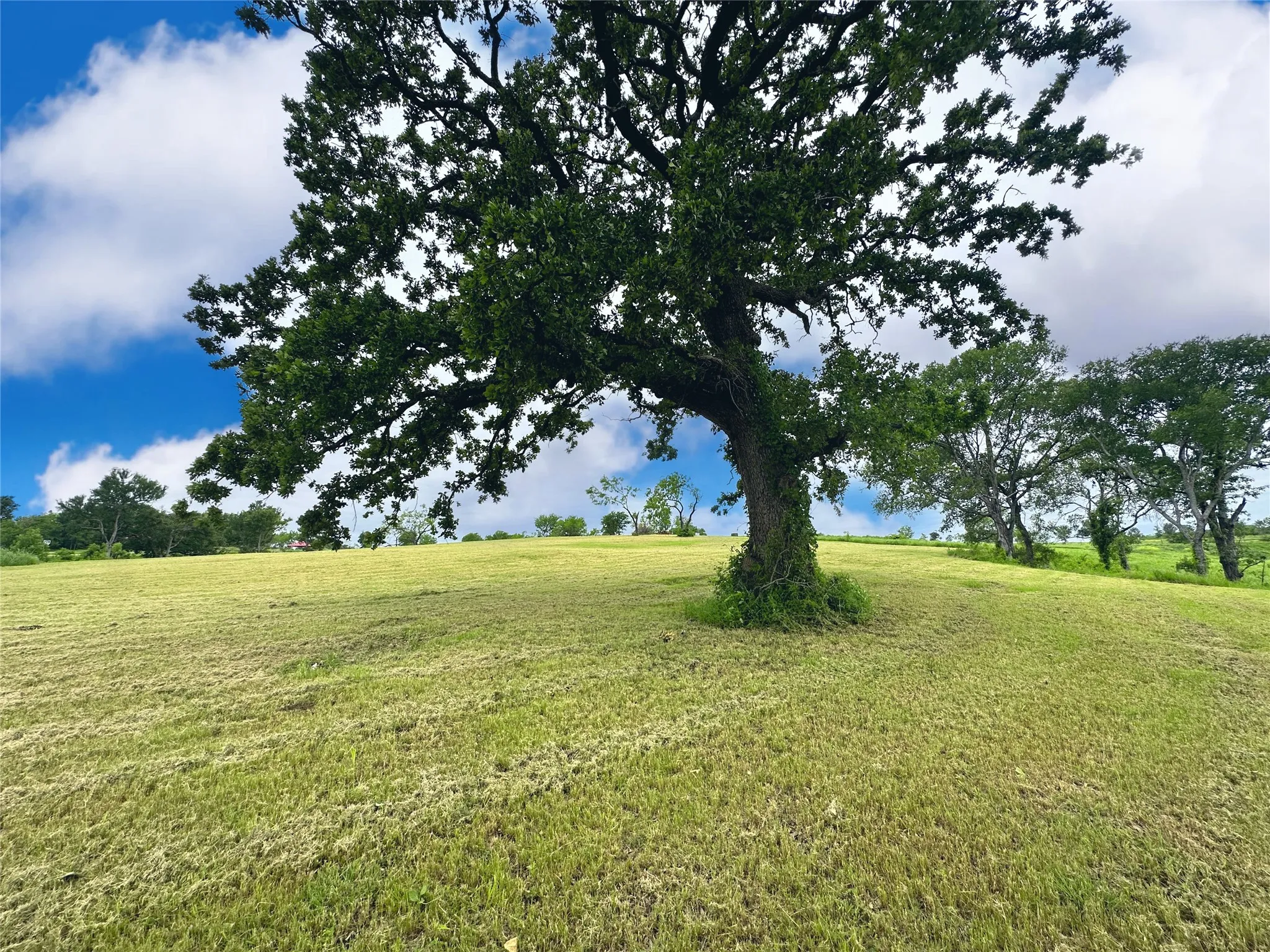 Native grass and open land create a peaceful Corsicana lakefront build site.