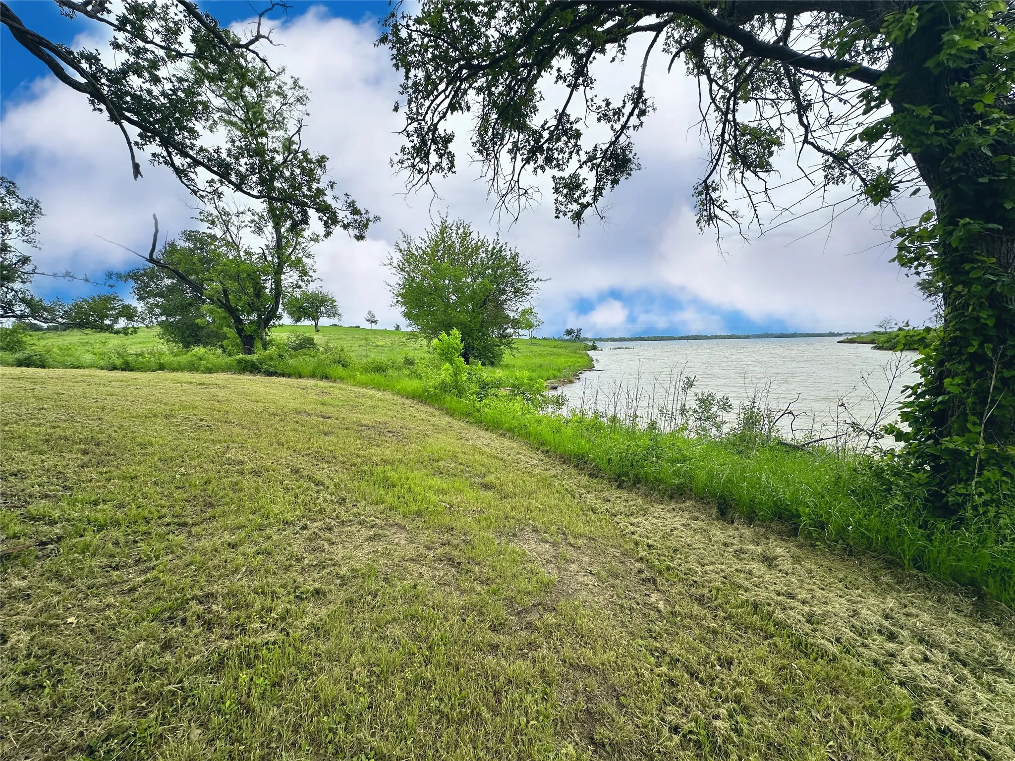 Mature trees and open land create a peaceful setting for lakefront living.