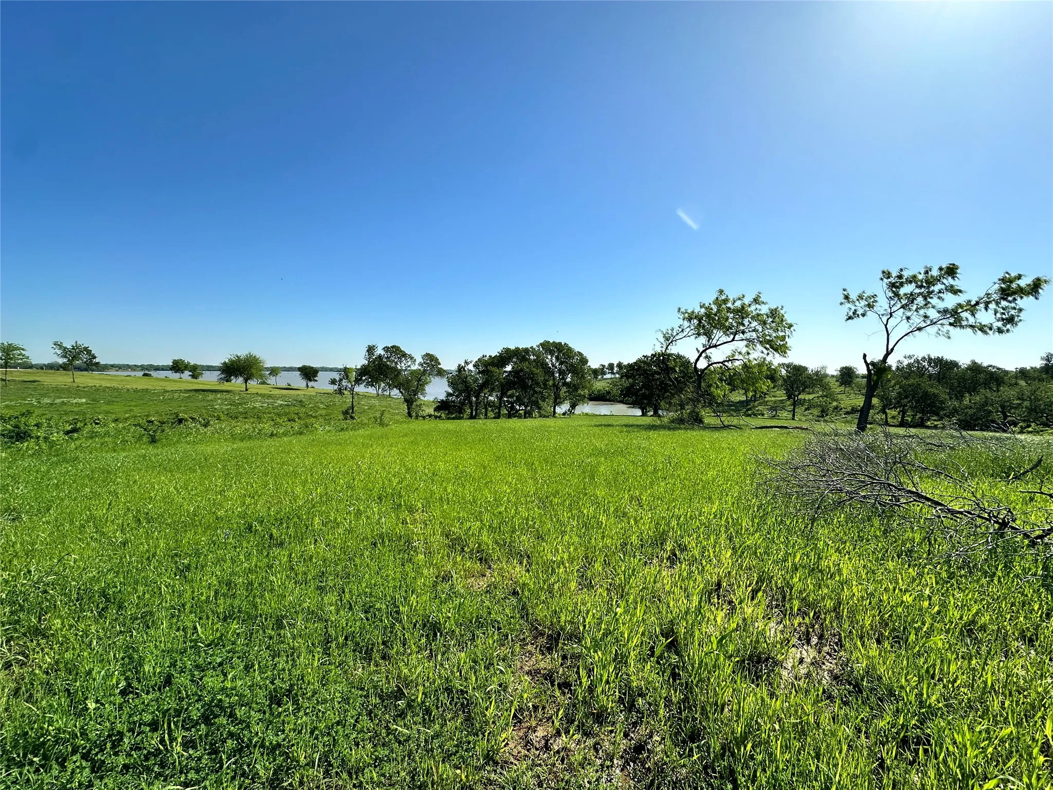 Sunny open homesite offers space to build near boating, fishing, and lake amenities.
