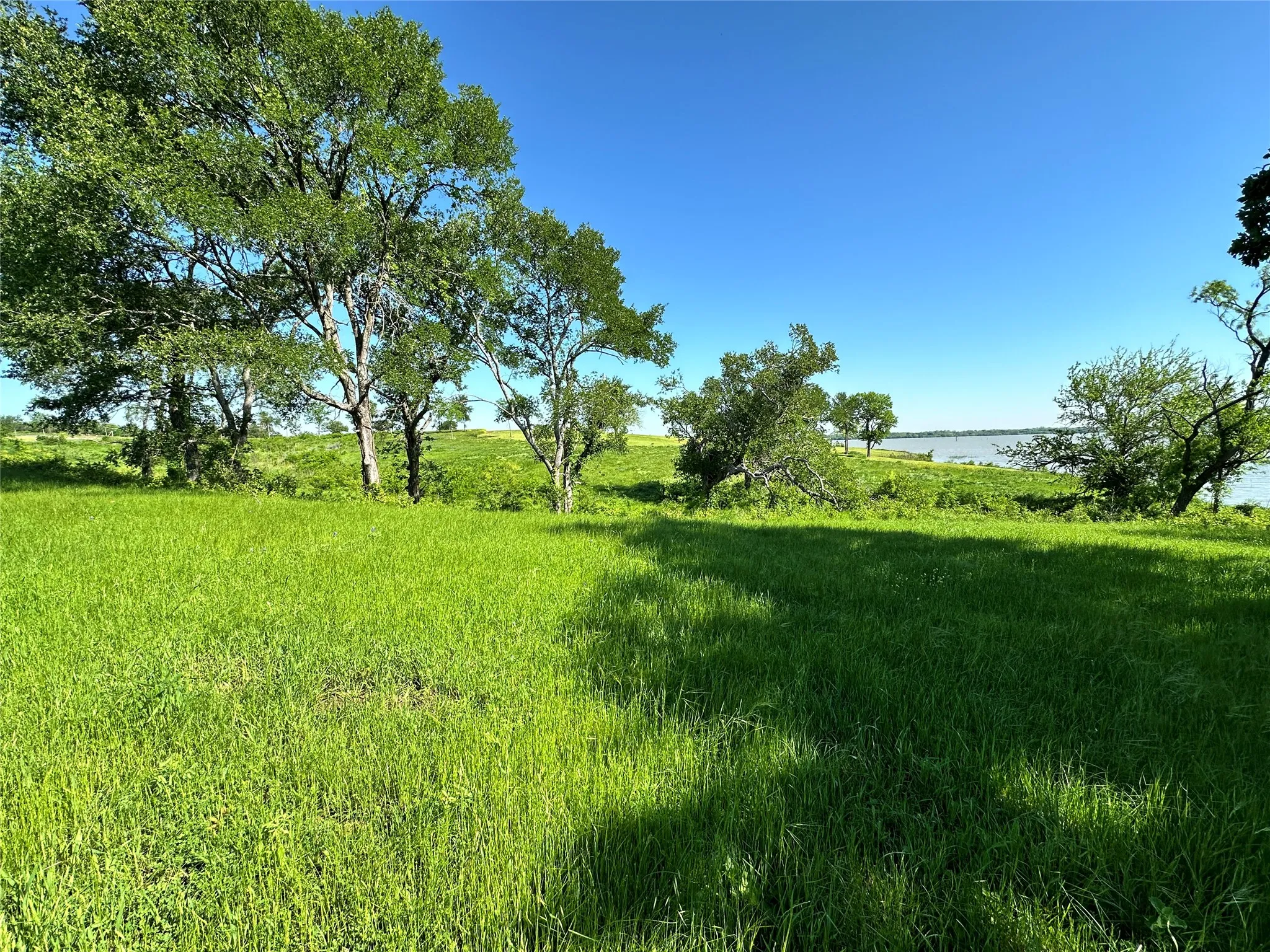 Unimproved Land For Sale in Navarro County , Lot 53 Richland Court, Corsicana, Texas 75109, 0, 0, Garage spaces, 0 Sqft, built in 0, Price $225,000, mls#21285018, Real Estate Agent in Corsicana, Homes For Sale in Navarro county, Homes For Sale in Corsicana, Realtor in Corsicana Texas, Real Estate Brokerage Independent Realty Texas, Luminita Cordes Realtor