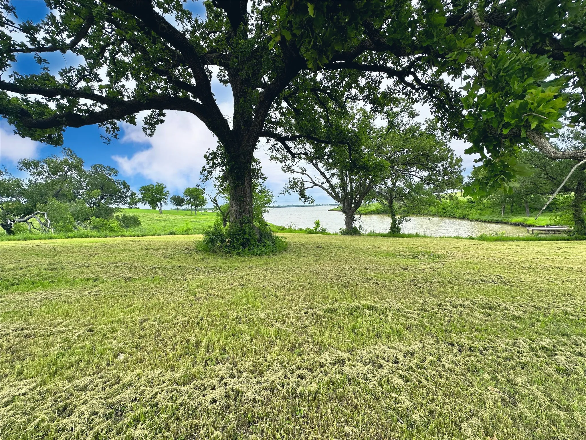 Large shade tree creates a beautiful focal point for this lakefront homesite.