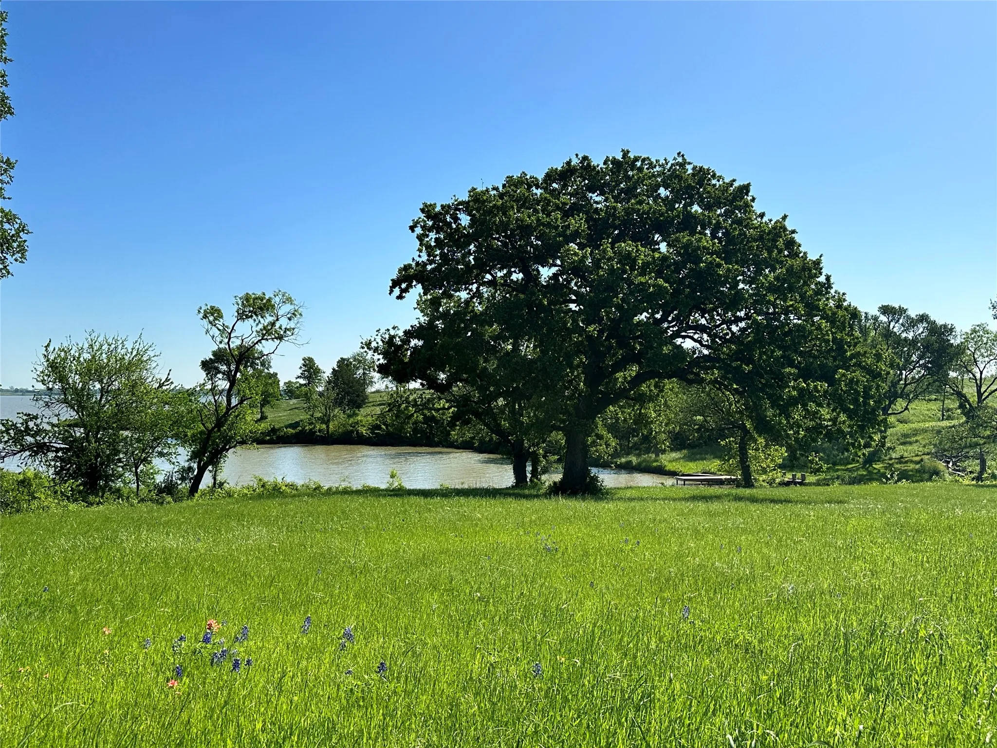 Beautiful mature oak near the water adds natural charm to this Richland Park lot.