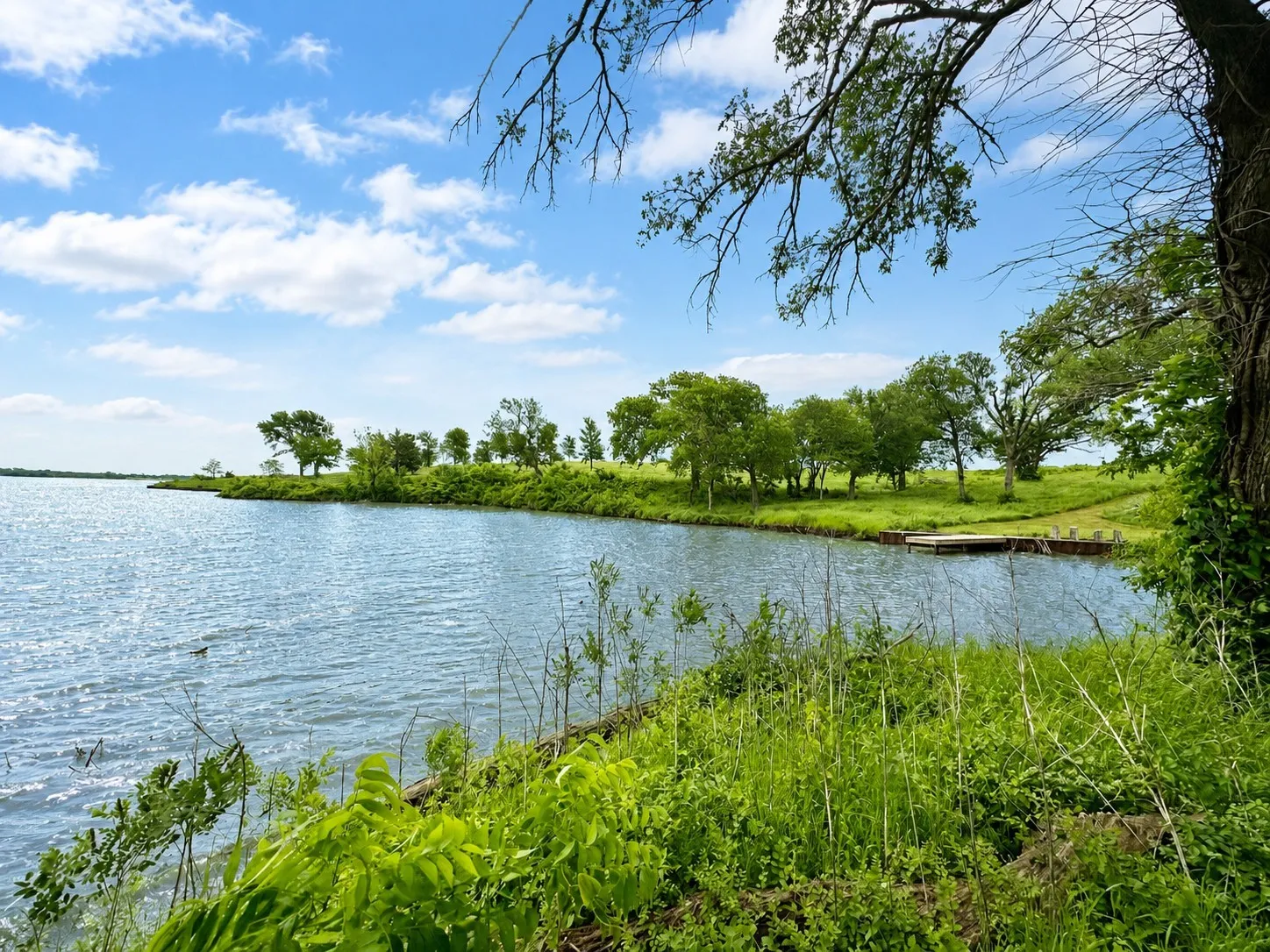 Wide lake view from Lot 53, ideal for boating, fishing, and relaxing at the water.