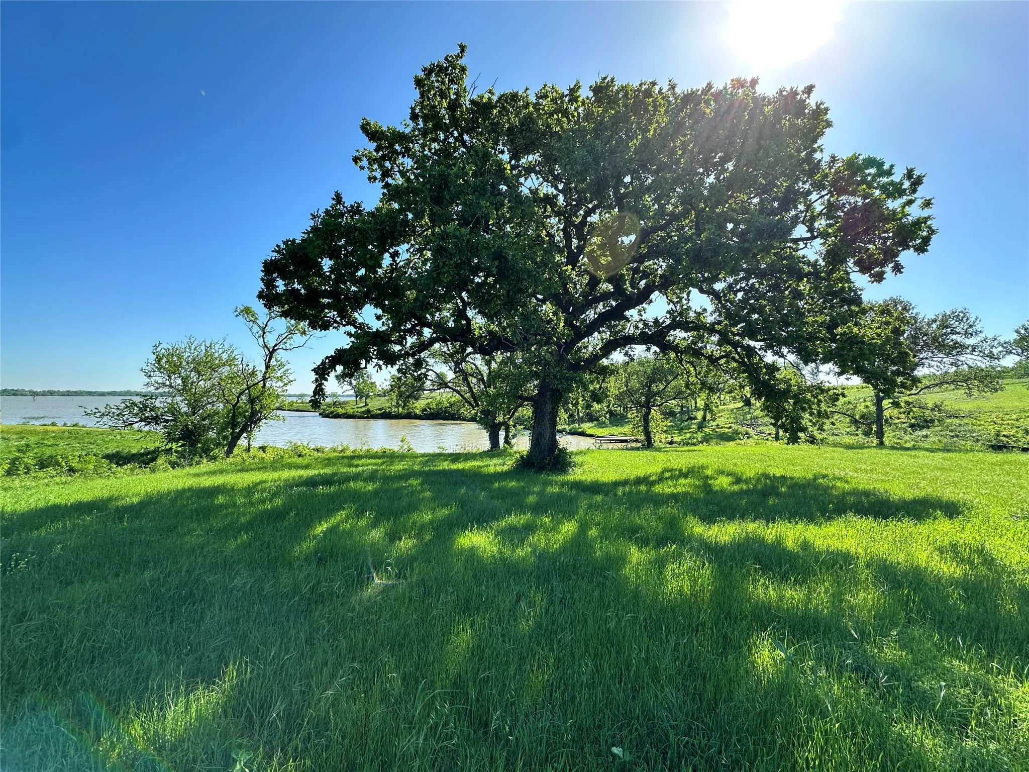 Beautiful mature oak near the water adds natural charm to this Richland Park lot.