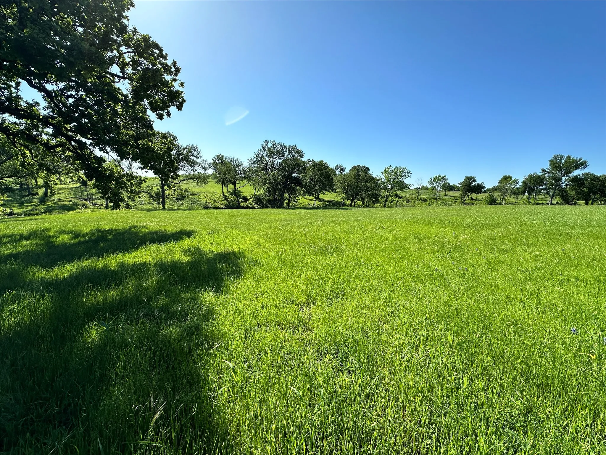 Mature shade tree and lake views create a relaxing setting for waterfront living.