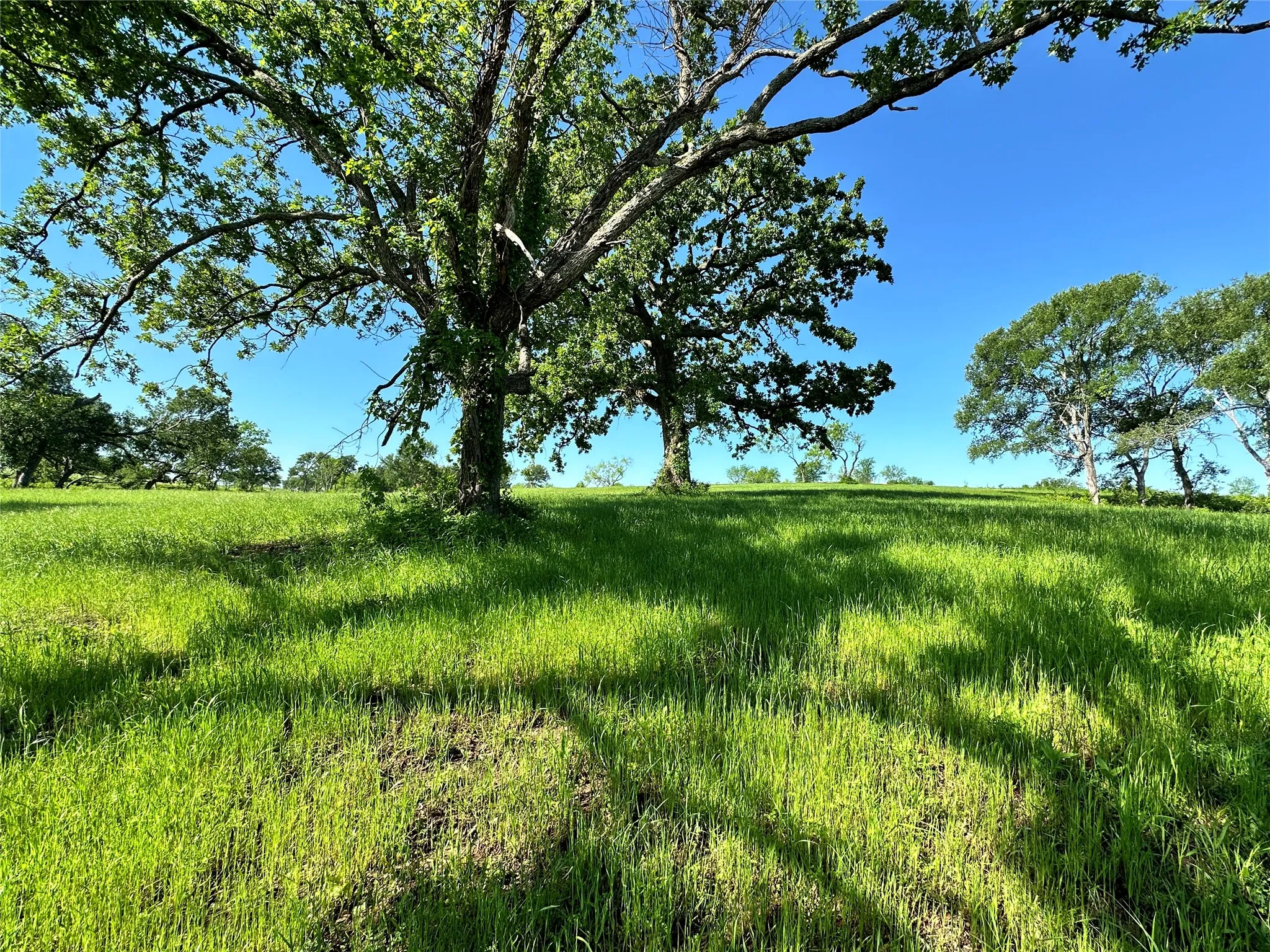 Mature shade trees add character and privacy to this Richland Chambers Lake homesite.