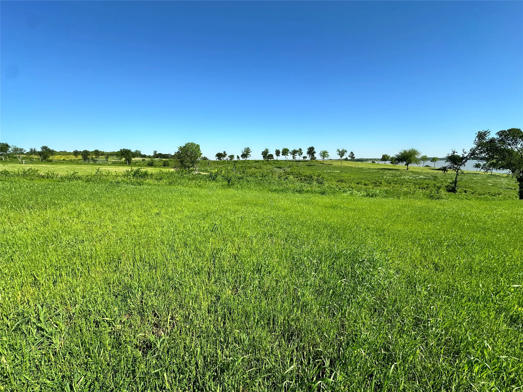 Open grassy lot offers a peaceful place to build near Richland Chambers Lake.