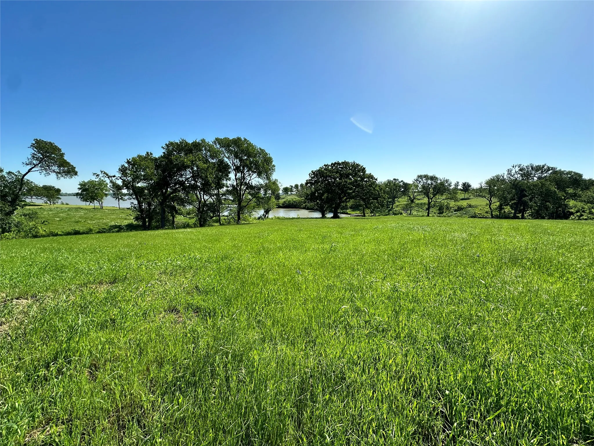 Tree-lined views add privacy and natural beauty to this gated lakefront community lot.