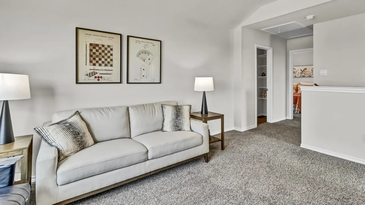 Carpeted bonus room featuring light gray walls and a built-in storage closet