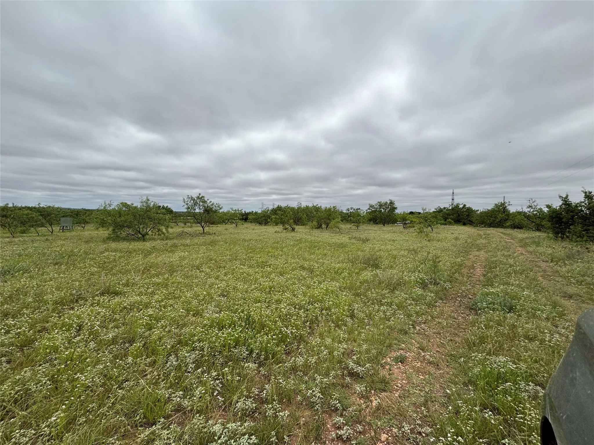 Farm For Sale in Runnels County , 202 County Road 312, Winters, Texas 79567, 3 Bedrooms, 2 Bathrooms, Garage spaces, 1,368 Sqft, built in 1996, Price $395,000, mls#21289900, Real Estate Agent in Winters, Homes For Sale in Runnels county, Homes For Sale in Winters, Realtor in Winters Texas, Real Estate Brokerage Independent Realty Texas, Luminita Cordes Realtor