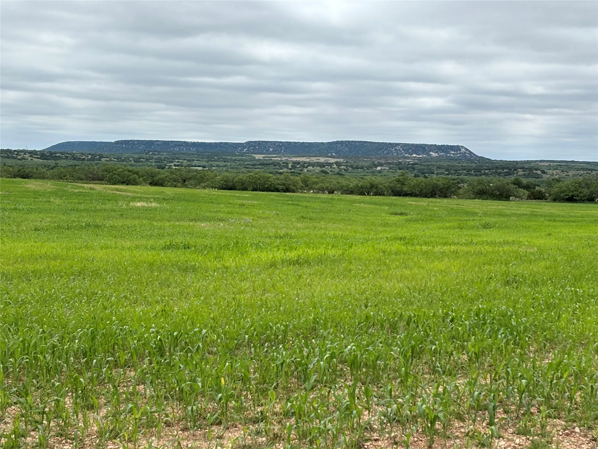 Farm For Sale in Runnels County , 202 County Road 312, Winters, Texas 79567, 3 Bedrooms, 2 Bathrooms, Garage spaces, 1,368 Sqft, built in 1996, Price $395,000, mls#21289900, Real Estate Agent in Winters, Homes For Sale in Runnels county, Homes For Sale in Winters, Realtor in Winters Texas, Real Estate Brokerage Independent Realty Texas, Luminita Cordes Realtor
