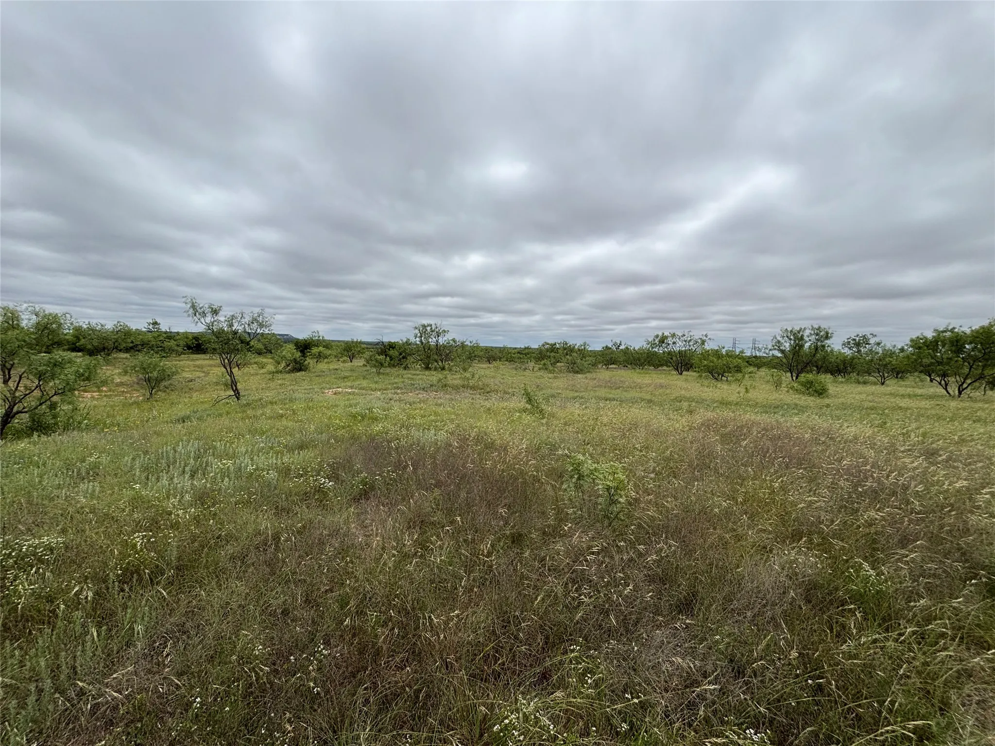 Farm For Sale in Runnels County , 202 County Road 312, Winters, Texas 79567, 3 Bedrooms, 2 Bathrooms, Garage spaces, 1,368 Sqft, built in 1996, Price $395,000, mls#21289900, Real Estate Agent in Winters, Homes For Sale in Runnels county, Homes For Sale in Winters, Realtor in Winters Texas, Real Estate Brokerage Independent Realty Texas, Luminita Cordes Realtor