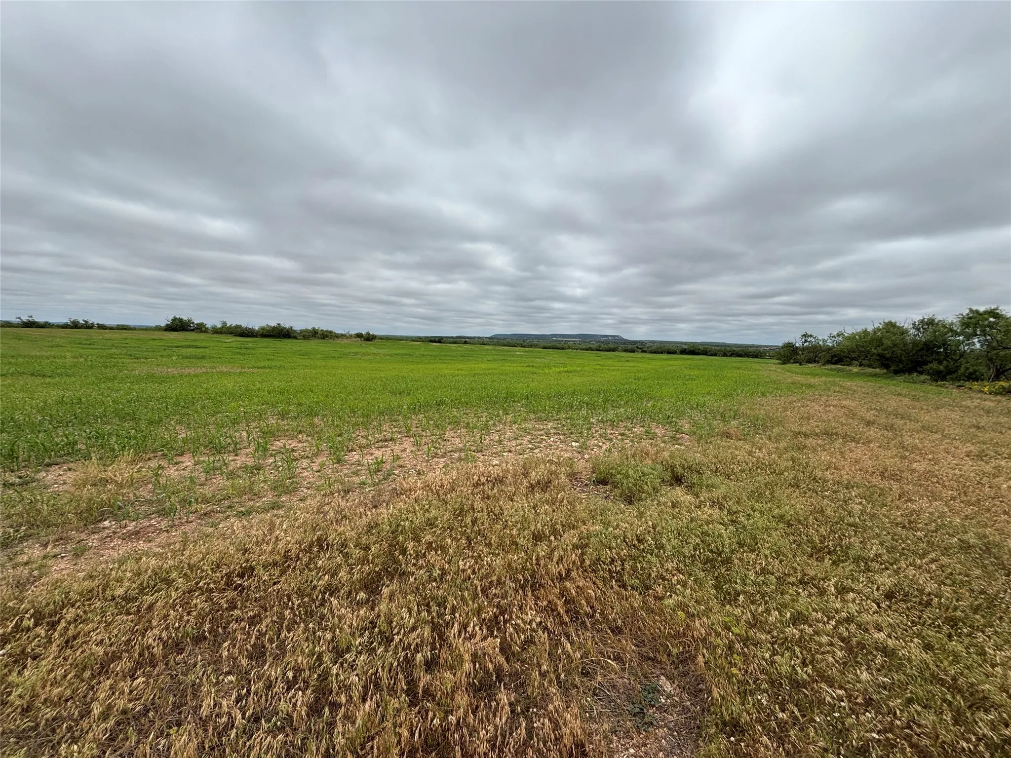 Farm For Sale in Runnels County , 202 County Road 312, Winters, Texas 79567, 3 Bedrooms, 2 Bathrooms, Garage spaces, 1,368 Sqft, built in 1996, Price $395,000, mls#21289900, Real Estate Agent in Winters, Homes For Sale in Runnels county, Homes For Sale in Winters, Realtor in Winters Texas, Real Estate Brokerage Independent Realty Texas, Luminita Cordes Realtor
