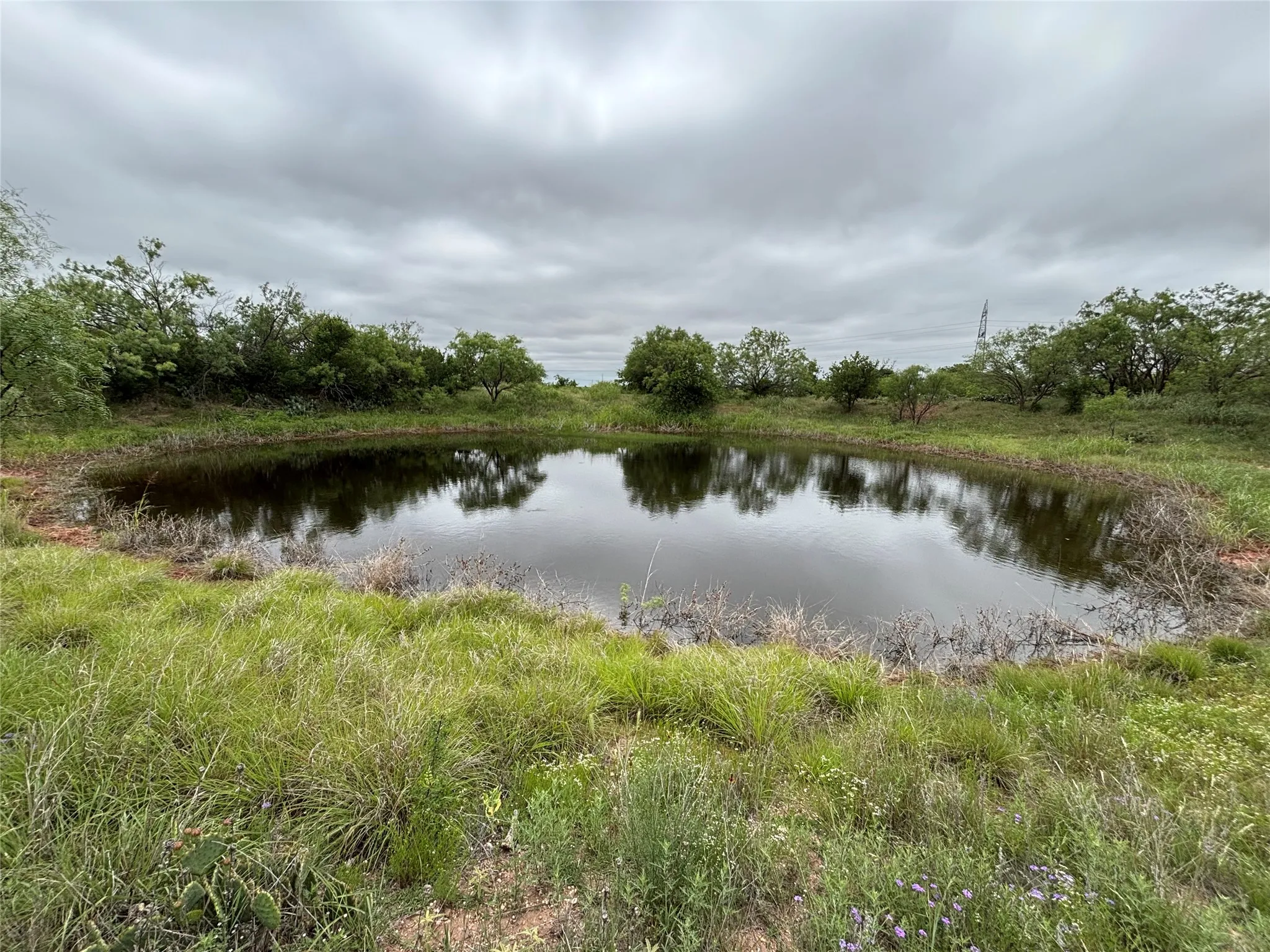 Farm For Sale in Runnels County , 202 County Road 312, Winters, Texas 79567, 3 Bedrooms, 2 Bathrooms, Garage spaces, 1,368 Sqft, built in 1996, Price $395,000, mls#21289900, Real Estate Agent in Winters, Homes For Sale in Runnels county, Homes For Sale in Winters, Realtor in Winters Texas, Real Estate Brokerage Independent Realty Texas, Luminita Cordes Realtor