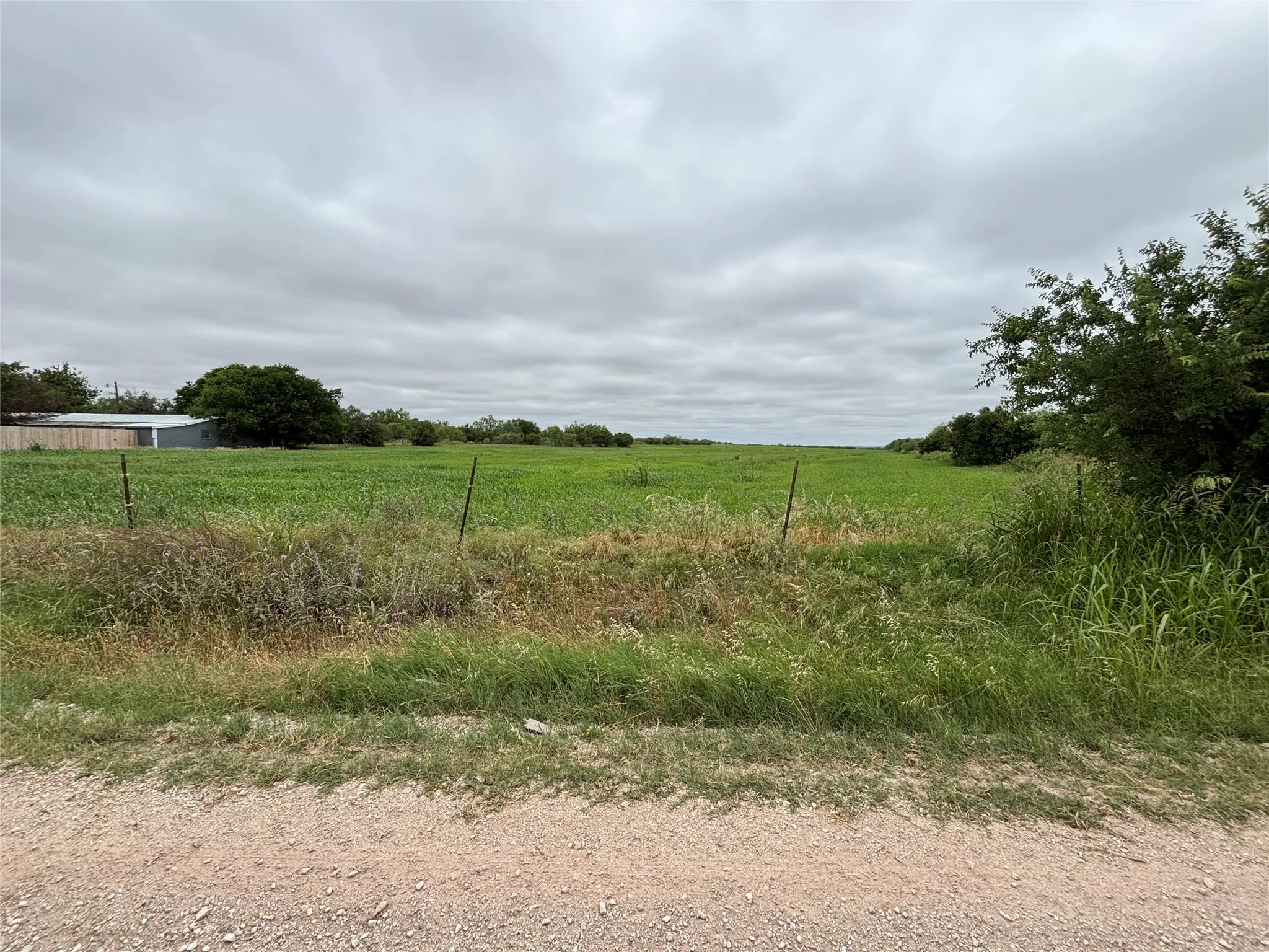 Farm For Sale in Runnels County , 202 County Road 312, Winters, Texas 79567, 3 Bedrooms, 2 Bathrooms, Garage spaces, 1,368 Sqft, built in 1996, Price $395,000, mls#21289900, Real Estate Agent in Winters, Homes For Sale in Runnels county, Homes For Sale in Winters, Realtor in Winters Texas, Real Estate Brokerage Independent Realty Texas, Luminita Cordes Realtor