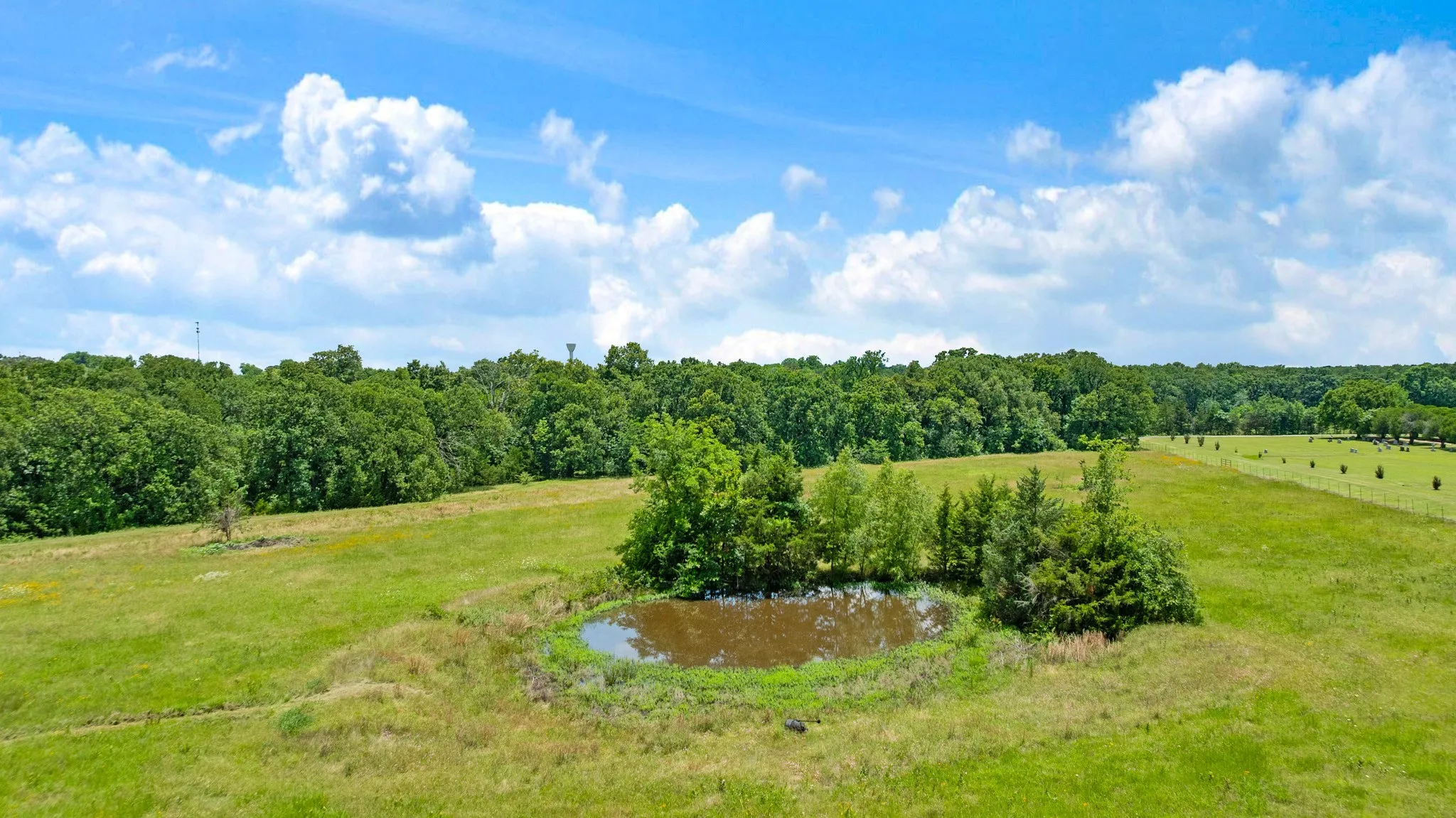 Farm For Sale in Lamar County , 848 CR 15300, Deport, Texas 75435, 3 Bedroom, 2 Bathroom, 2 Garage spaces, 1,800 Sqft, built in 0, Price $749,700, mls#21289935, Real Estate Agent in Deport, Homes For Sale in Lamar county, Homes For Sale in Deport, Realtor in Deport Texas, Real Estate Brokerage Independent Realty Texas, Luminita Cordes Realtor