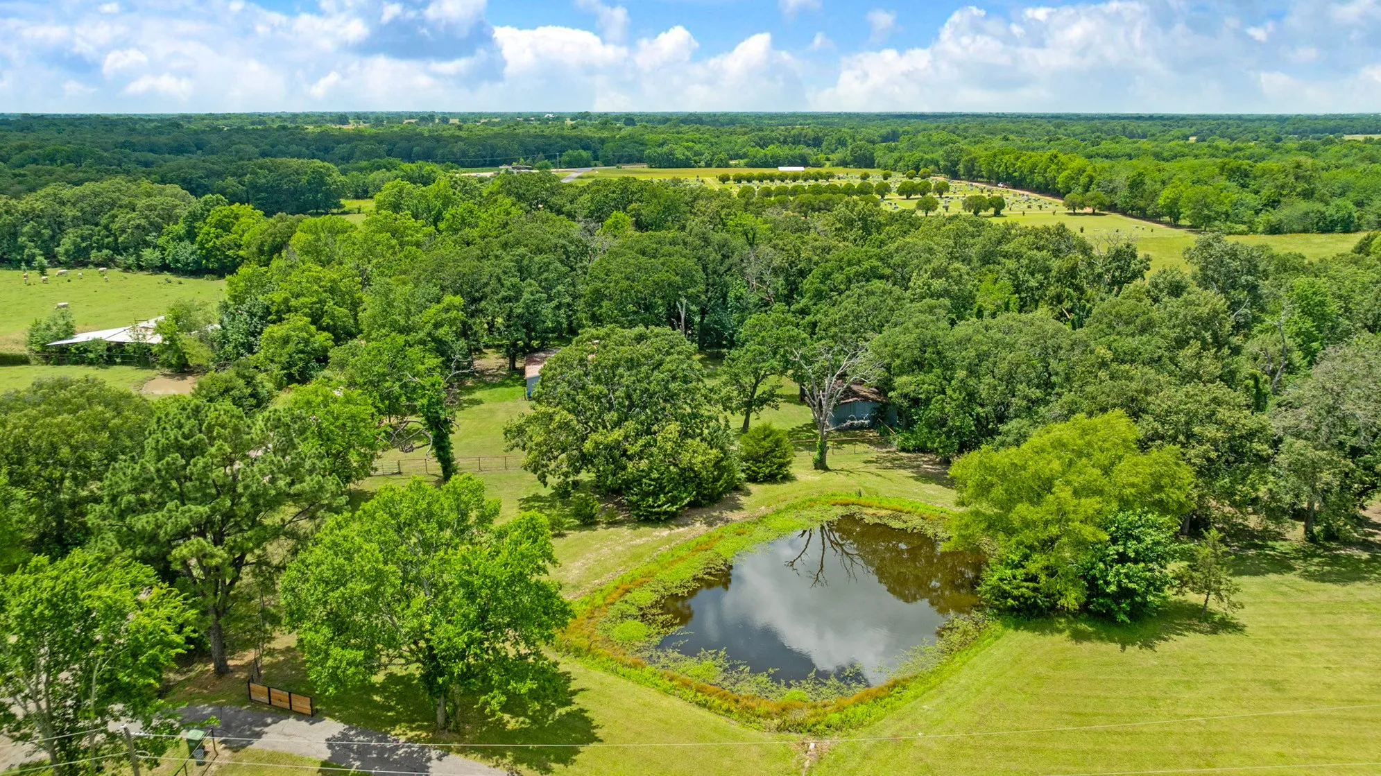 Farm For Sale in Lamar County , 848 CR 15300, Deport, Texas 75435, 3 Bedroom, 2 Bathroom, 2 Garage spaces, 1,800 Sqft, built in 0, Price $749,700, mls#21289935, Real Estate Agent in Deport, Homes For Sale in Lamar county, Homes For Sale in Deport, Realtor in Deport Texas, Real Estate Brokerage Independent Realty Texas, Luminita Cordes Realtor