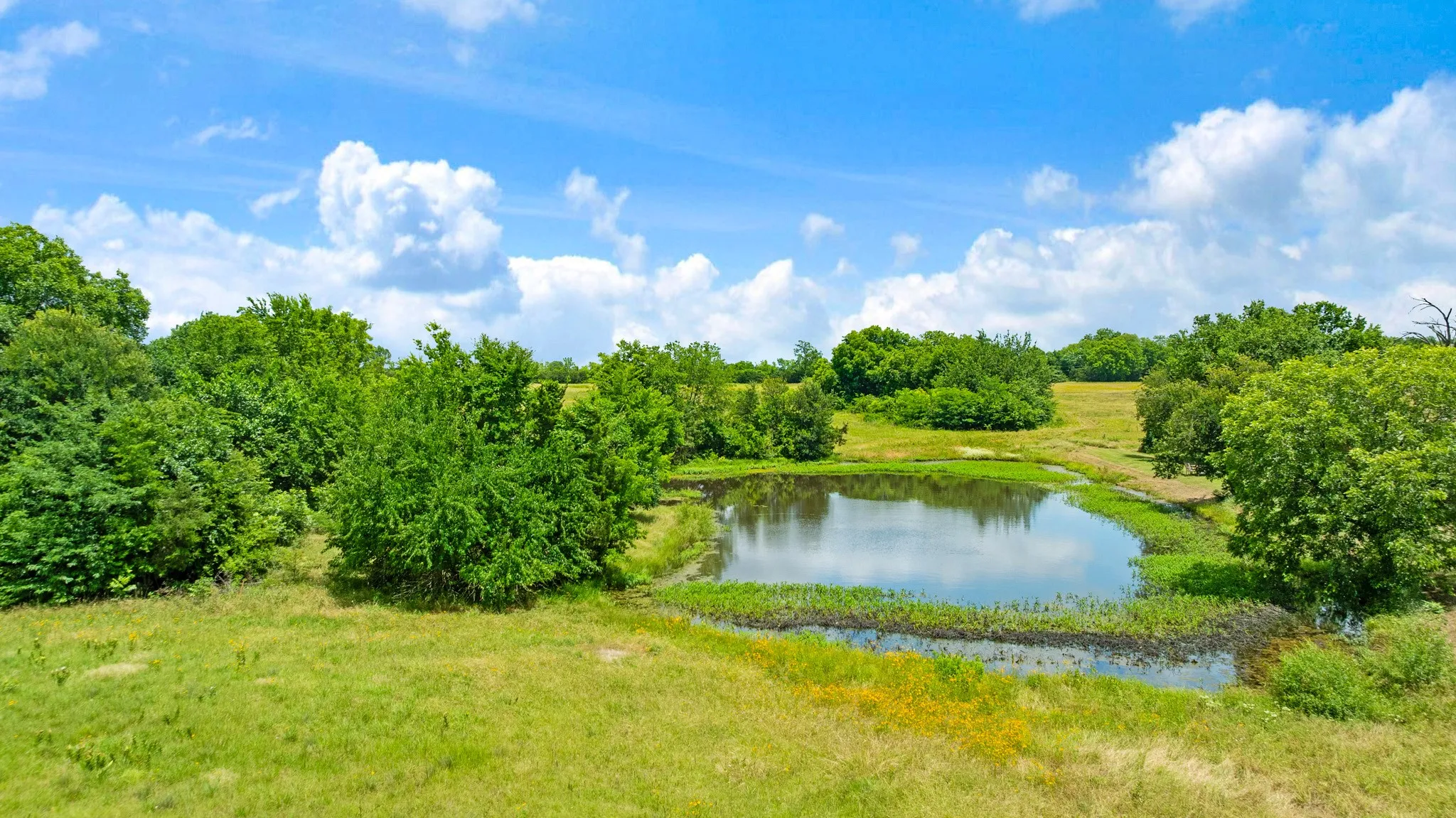 Farm For Sale in Lamar County , 848 CR 15300, Deport, Texas 75435, 3 Bedroom, 2 Bathroom, 2 Garage spaces, 1,800 Sqft, built in 0, Price $749,700, mls#21289935, Real Estate Agent in Deport, Homes For Sale in Lamar county, Homes For Sale in Deport, Realtor in Deport Texas, Real Estate Brokerage Independent Realty Texas, Luminita Cordes Realtor