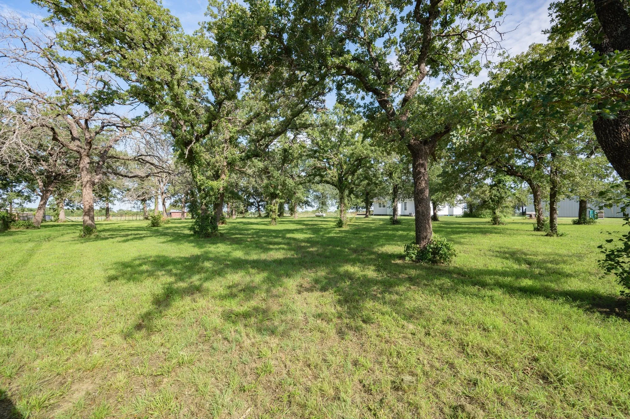 Single Family Residence For Sale in Palo Pinto County , 923 Natty Flat Road, Lipan, Texas 76462, 4 Bedroom, 3 Bathroom, Garage spaces, 2,304 Sqft, built in 1918, mls#21285600, Real Estate Agent in Lipan, Homes For Sale in Palo Pinto county, Homes For Sale in Lipan, Realtor in Lipan Texas, Real Estate Brokerage Independent Realty Texas, Luminita Cordes Realtor