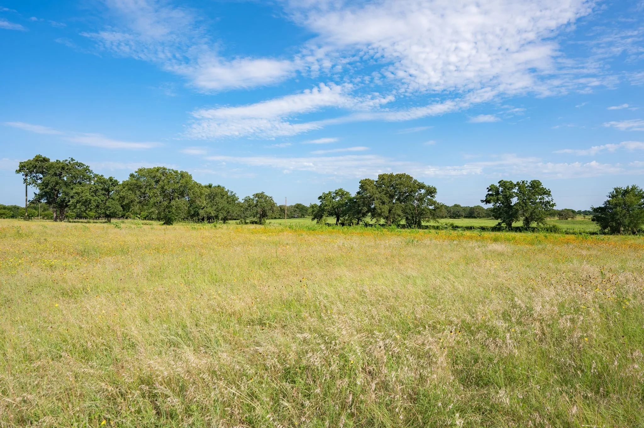 Farm For Sale in Palo Pinto County , 923 Natty Flat Road Farm-Ranch, Lipan, Texas 76462, 4 Bedroom, 3 Bathroom, Garage spaces, 2,304 Sqft, built in 1918, mls#21283116, Real Estate Agent in Lipan, Homes For Sale in Palo Pinto county, Homes For Sale in Lipan, Realtor in Lipan Texas, Real Estate Brokerage Independent Realty Texas, Luminita Cordes Realtor