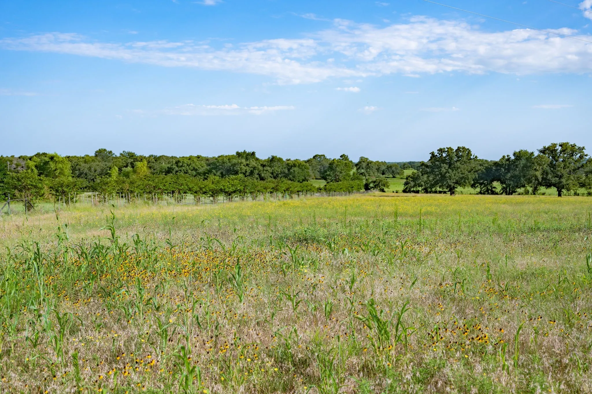 Farm For Sale in Palo Pinto County , 923 Natty Flat Road Farm-Ranch, Lipan, Texas 76462, 4 Bedroom, 3 Bathroom, Garage spaces, 2,304 Sqft, built in 1918, mls#21283116, Real Estate Agent in Lipan, Homes For Sale in Palo Pinto county, Homes For Sale in Lipan, Realtor in Lipan Texas, Real Estate Brokerage Independent Realty Texas, Luminita Cordes Realtor