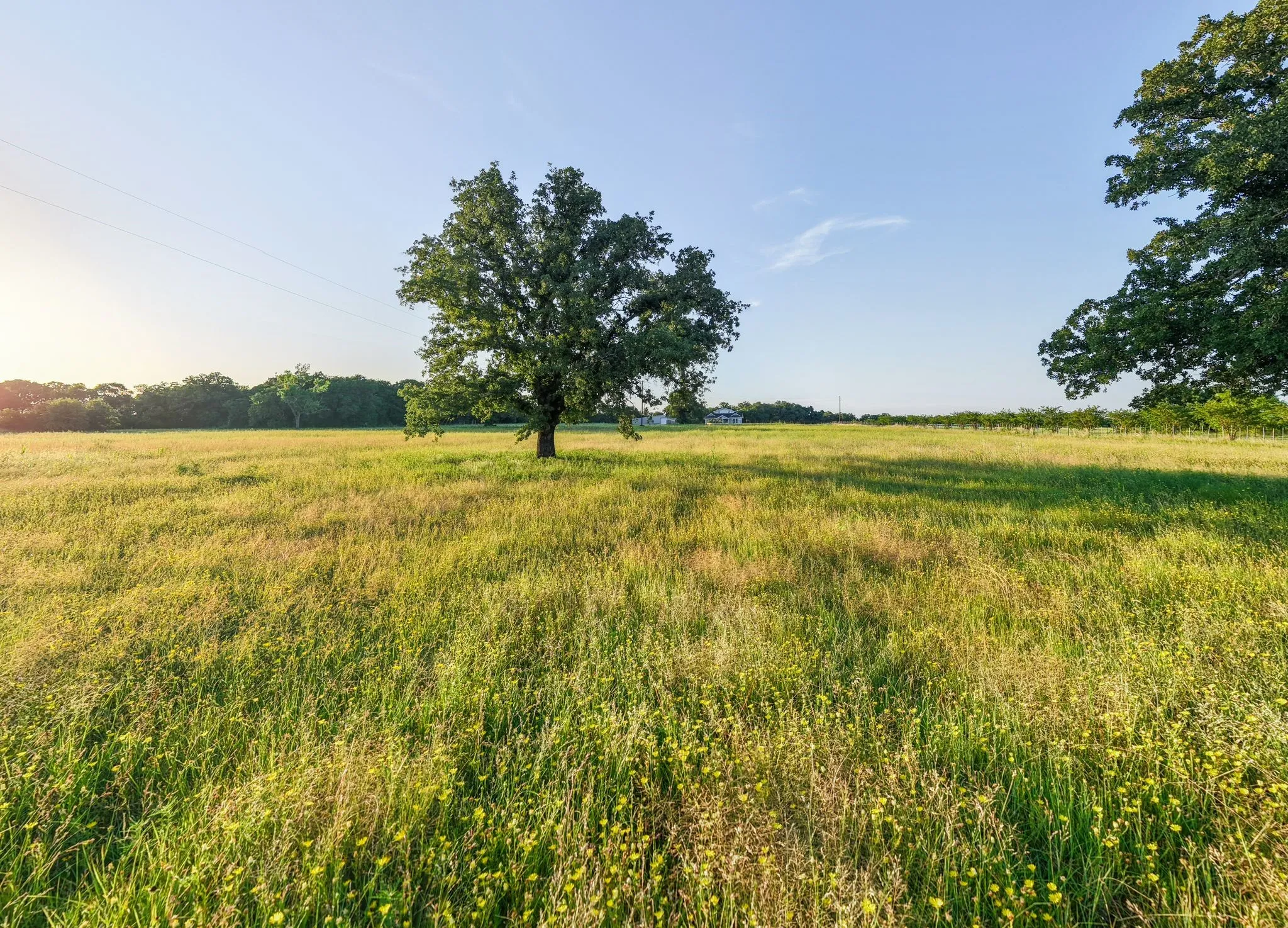 Farm For Sale in Palo Pinto County , 923 Natty Flat Road Farm-Ranch, Lipan, Texas 76462, 4 Bedroom, 3 Bathroom, Garage spaces, 2,304 Sqft, built in 1918, mls#21283116, Real Estate Agent in Lipan, Homes For Sale in Palo Pinto county, Homes For Sale in Lipan, Realtor in Lipan Texas, Real Estate Brokerage Independent Realty Texas, Luminita Cordes Realtor