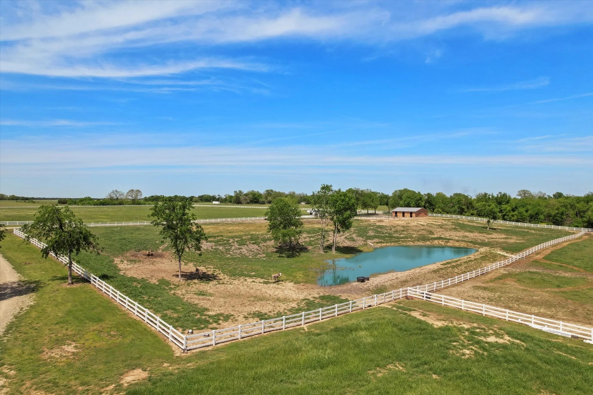 Single Family Residence For Sale in Navarro County , 121 Elm, Kerens, Texas 75144, 10 Bedroom, 8 Bathroom, 7 Garage spaces, 6,635 Sqft, built in 2023, Price $9,750,000, mls#21285188, Real Estate Agent in Kerens, Homes For Sale in Navarro county, Homes For Sale in Kerens, Realtor in Kerens Texas, Real Estate Brokerage Independent Realty Texas, Luminita Cordes Realtor
