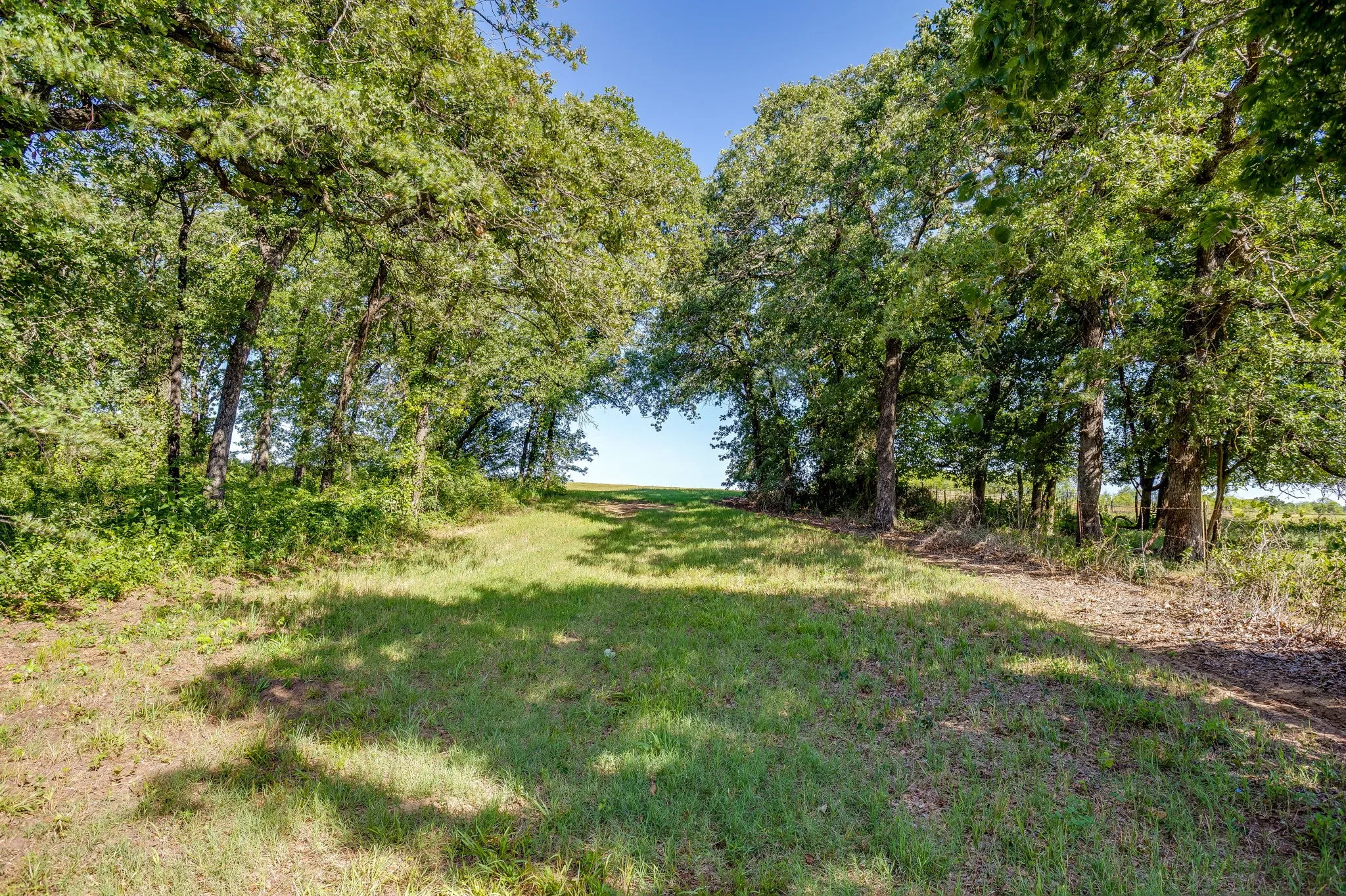 Unimproved Land For Sale in Johnson County , TBD County Road 1021, Burleson, Texas 76028, 0, 0, Garage spaces, 0 Sqft, built in 0, Price $4,615,930, mls#21290101, Real Estate Agent in Burleson, Homes For Sale in Johnson county, Homes For Sale in Burleson, Realtor in Burleson Texas, Real Estate Brokerage Independent Realty Texas, Luminita Cordes Realtor