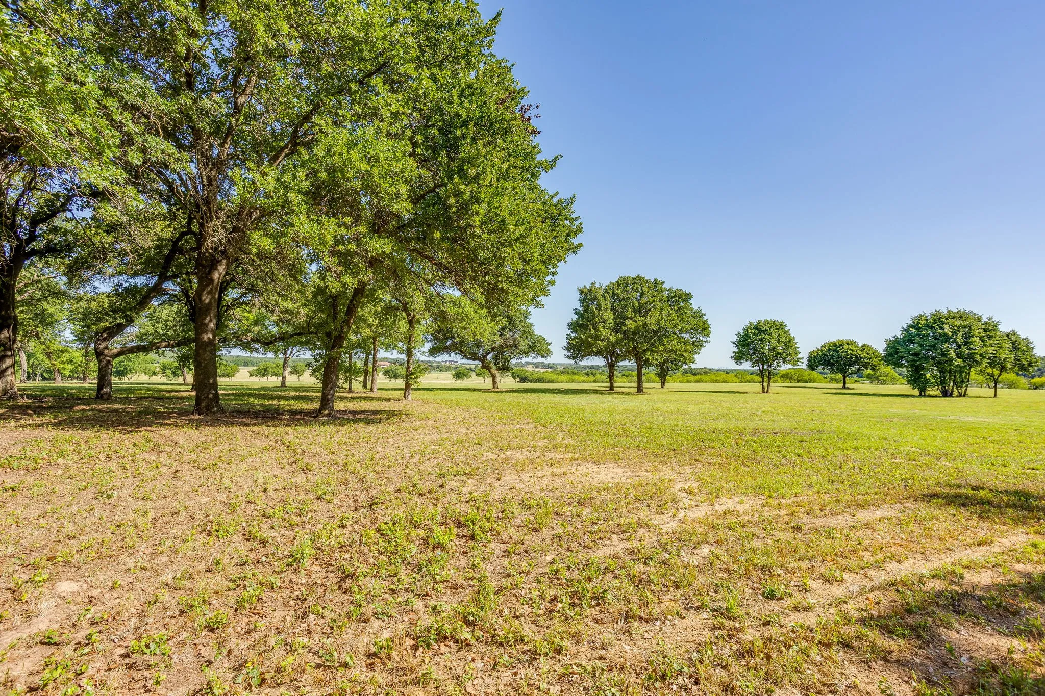 Unimproved Land For Sale in Johnson County , TBD County Road 1021, Burleson, Texas 76028, 0, 0, Garage spaces, 0 Sqft, built in 0, Price $4,615,930, mls#21290101, Real Estate Agent in Burleson, Homes For Sale in Johnson county, Homes For Sale in Burleson, Realtor in Burleson Texas, Real Estate Brokerage Independent Realty Texas, Luminita Cordes Realtor